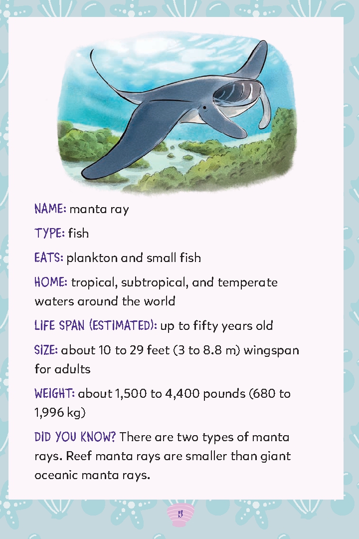 Manta Ray Swims Free