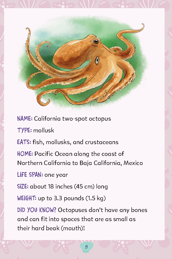 Octopus's Tide Pool Trouble