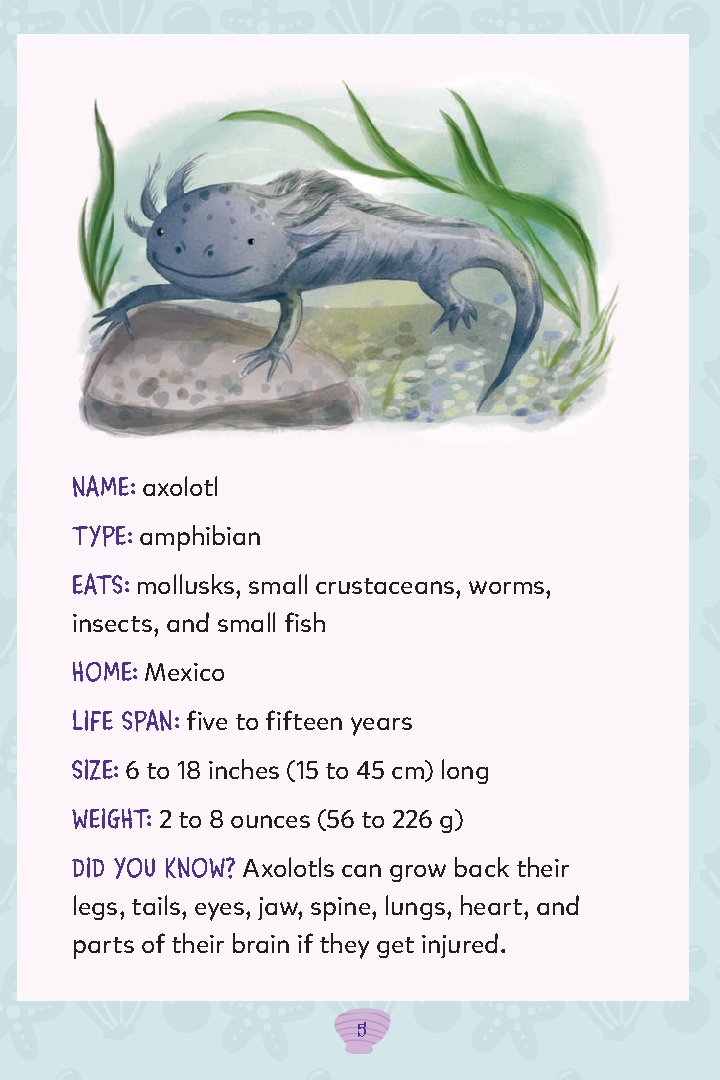 Axolotl's Safe Place