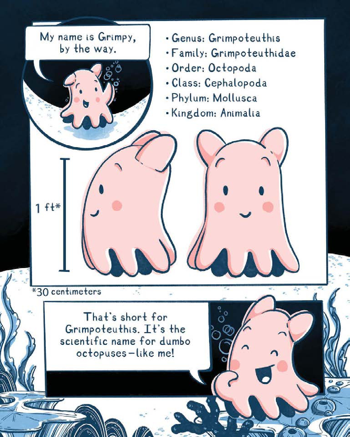 I'm a Dumbo Octopus!