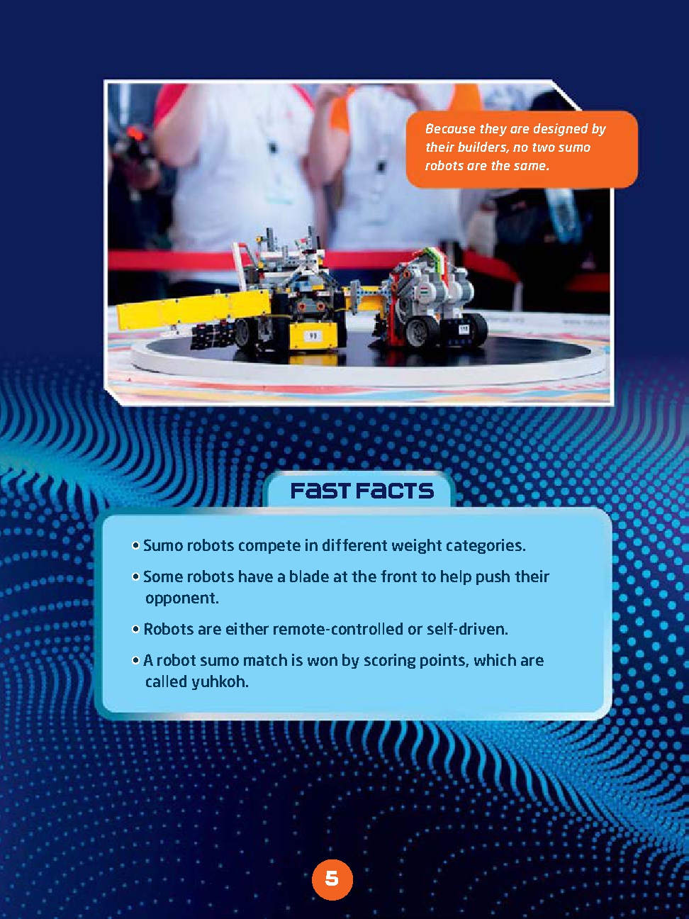 Robot Sumo