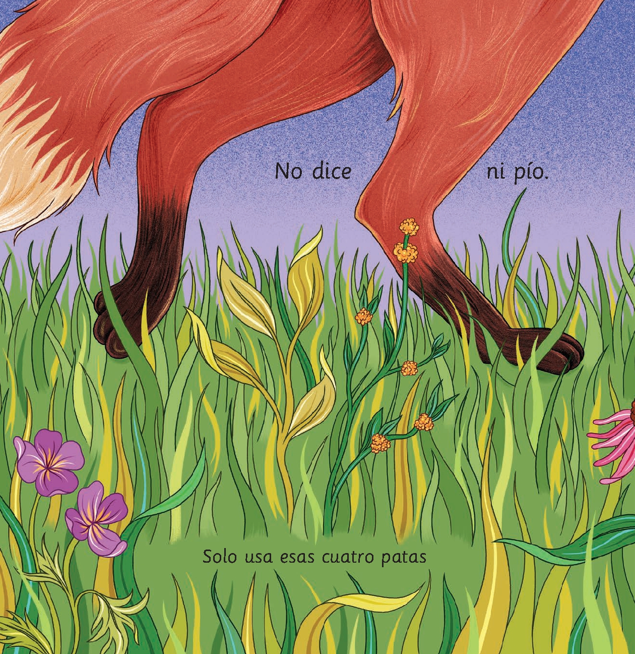 Y, también, el zorro (And, Too, the Fox)