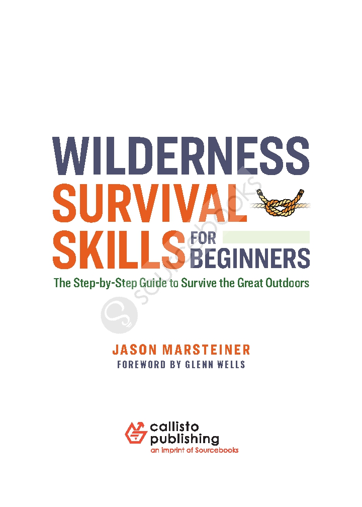 Wilderness Survival Skills for Beginners