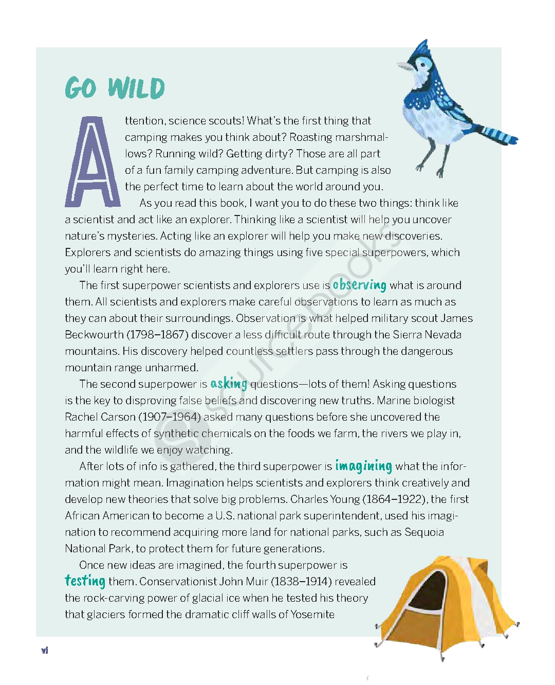 Camping Activities for Kids