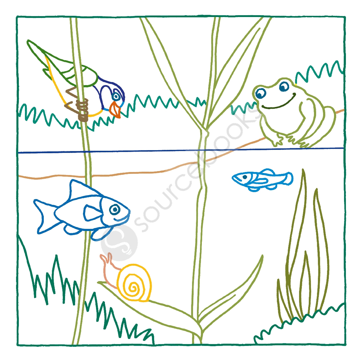 Magic Paper Coloring Book: Nature