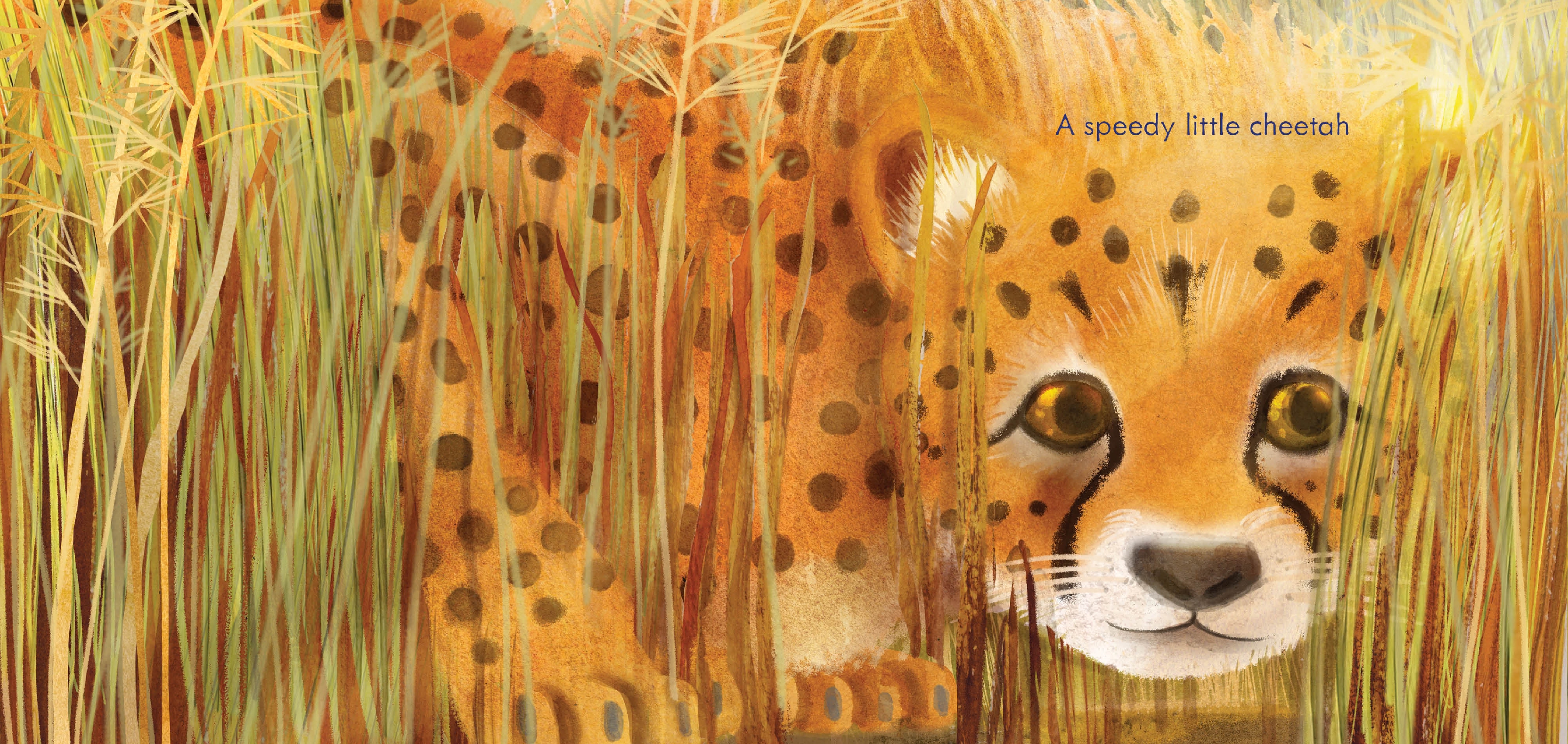 A Speedy Little Cheetah on the Big Blue Earth