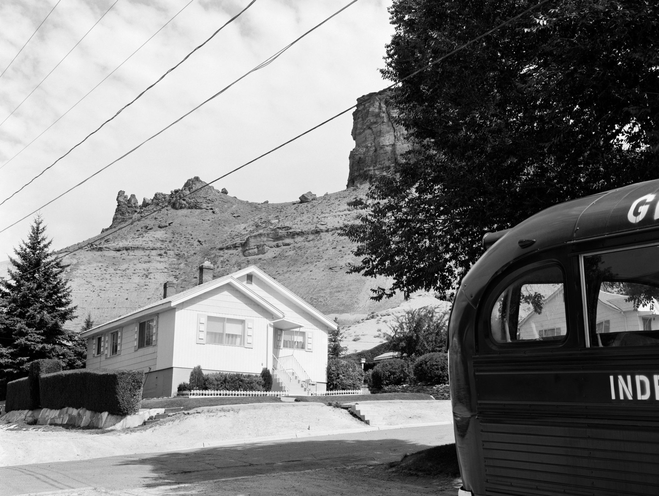 Much Here is Beautiful