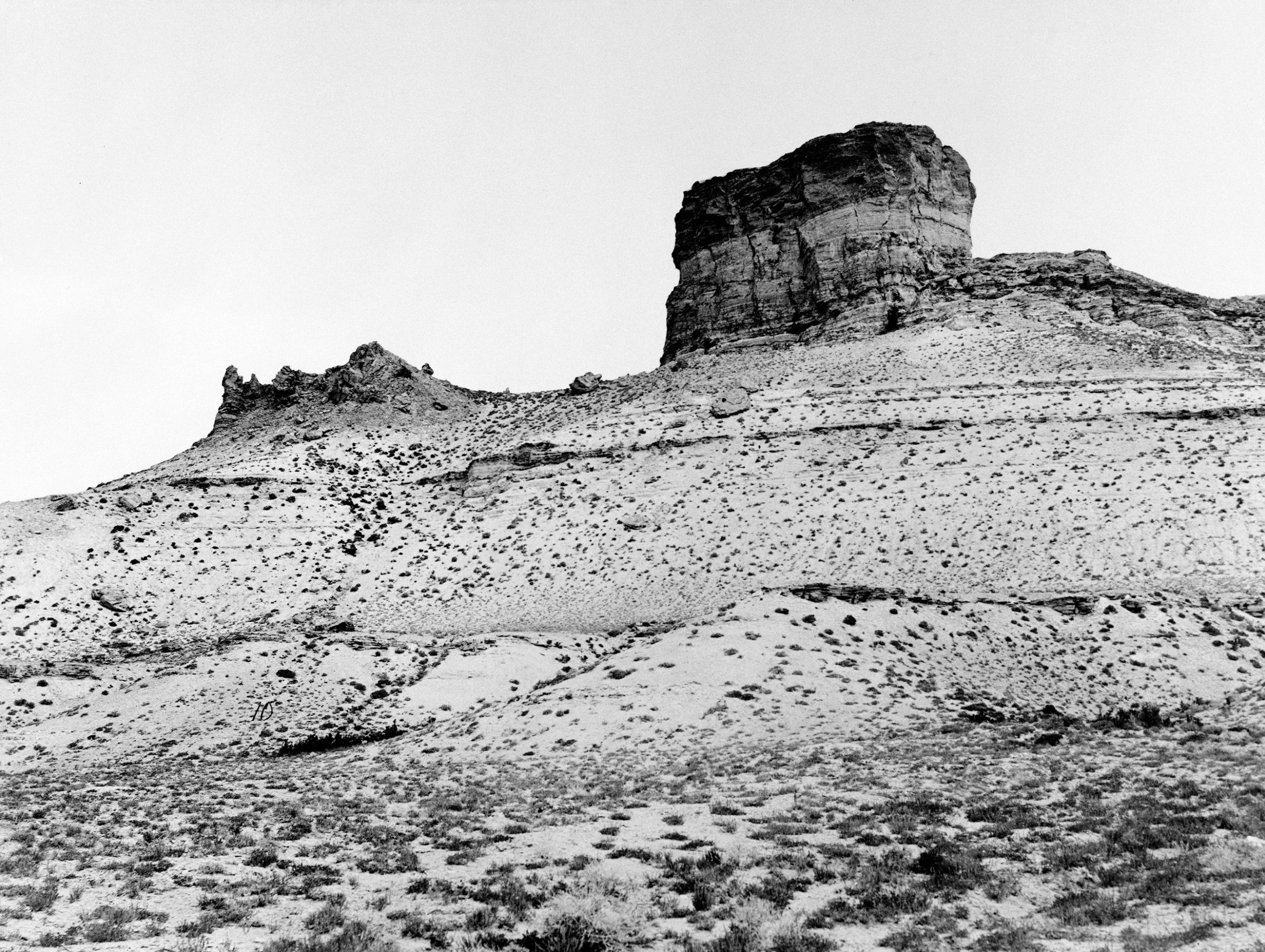 Much Here is Beautiful