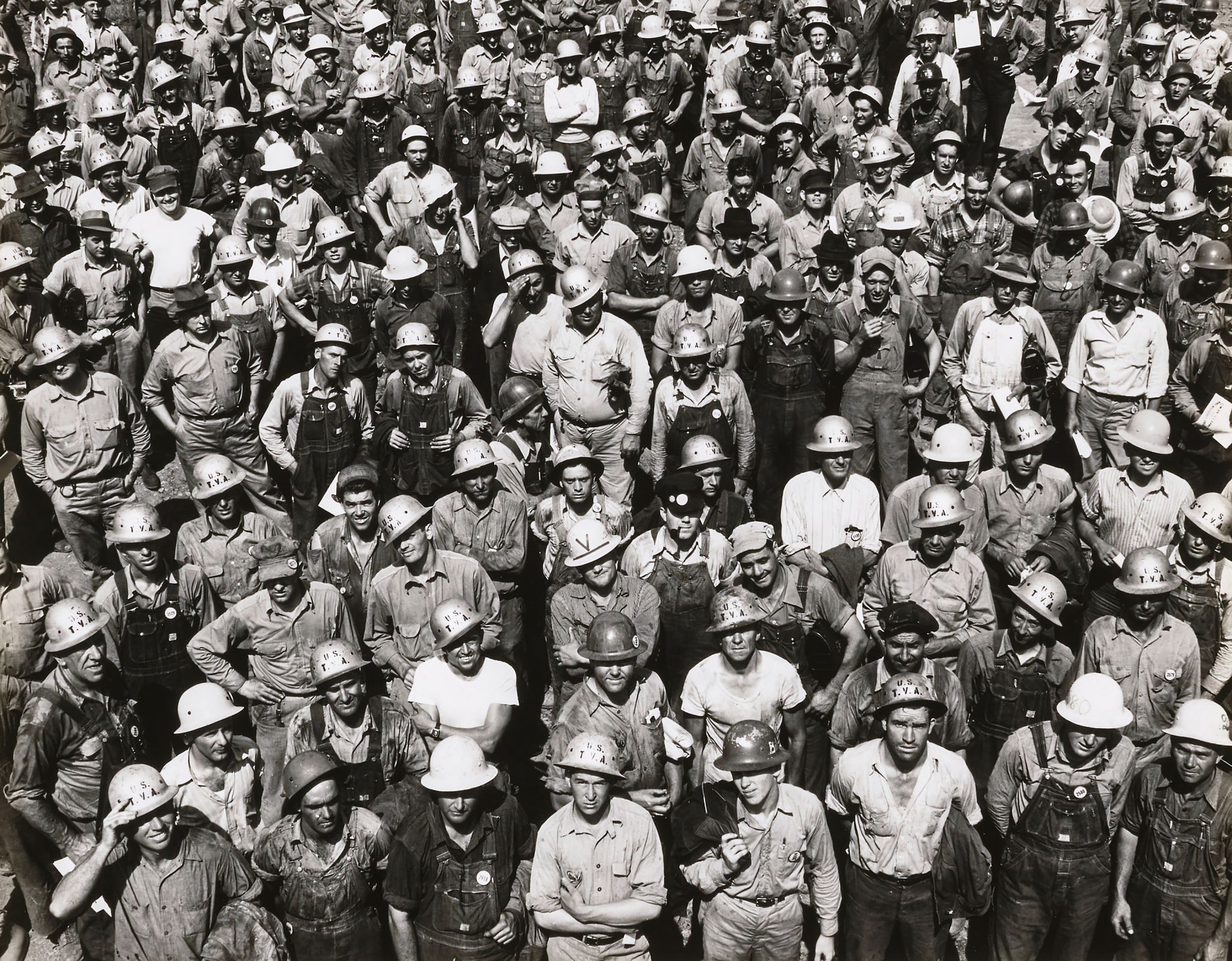 Much Here is Beautiful