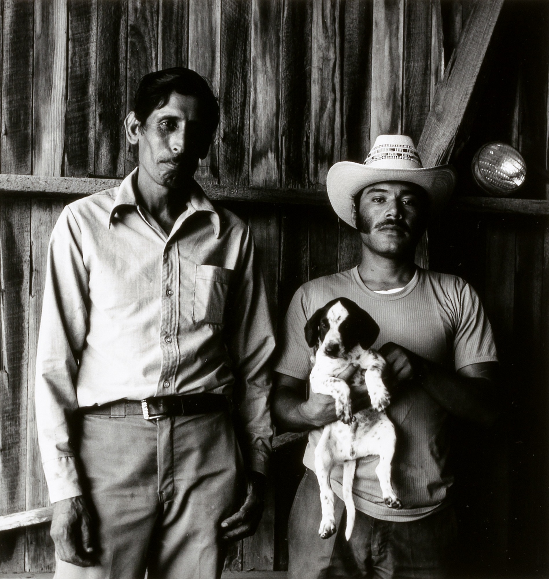 Much Here is Beautiful