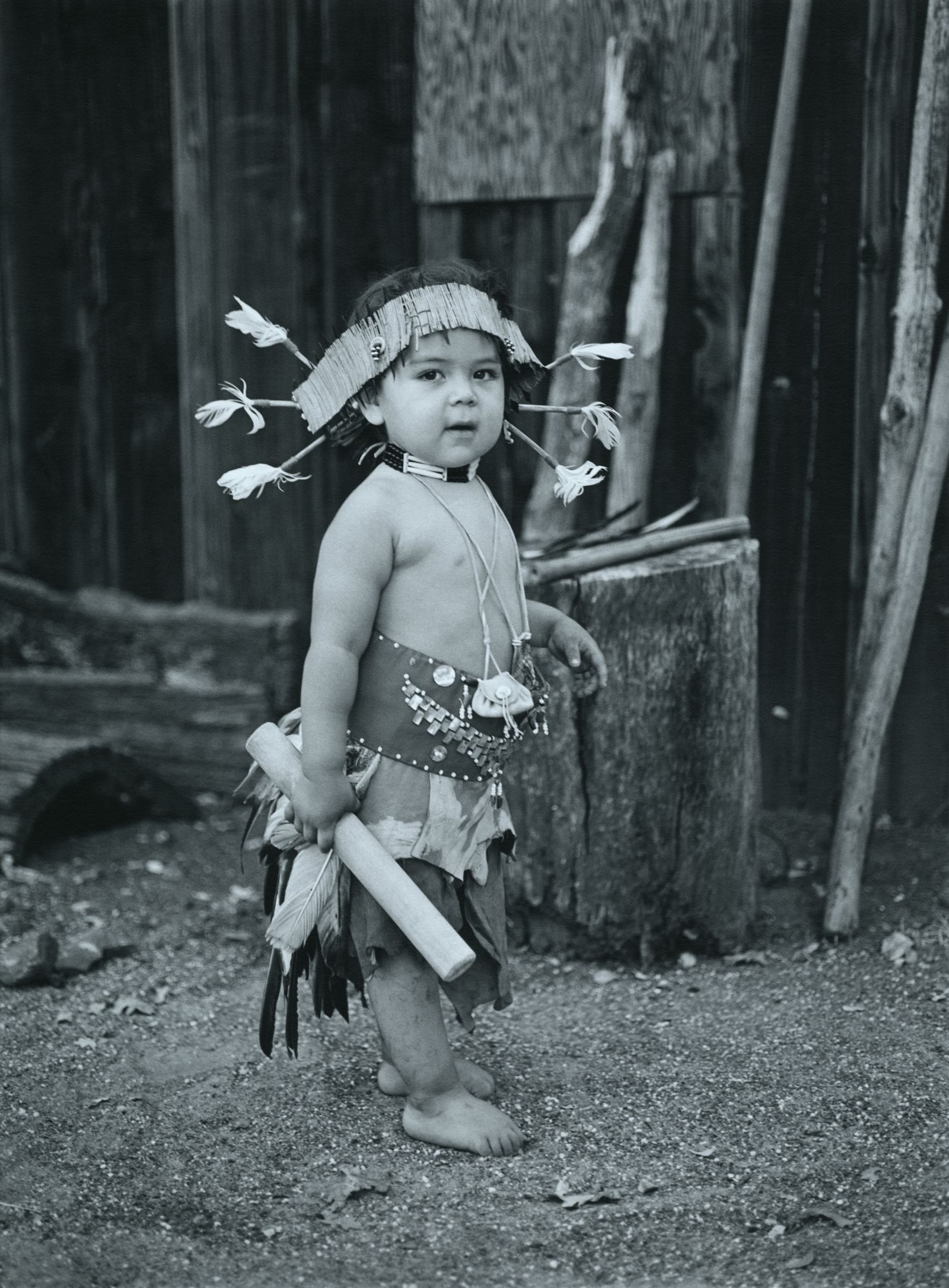 Born of the Bear Dance