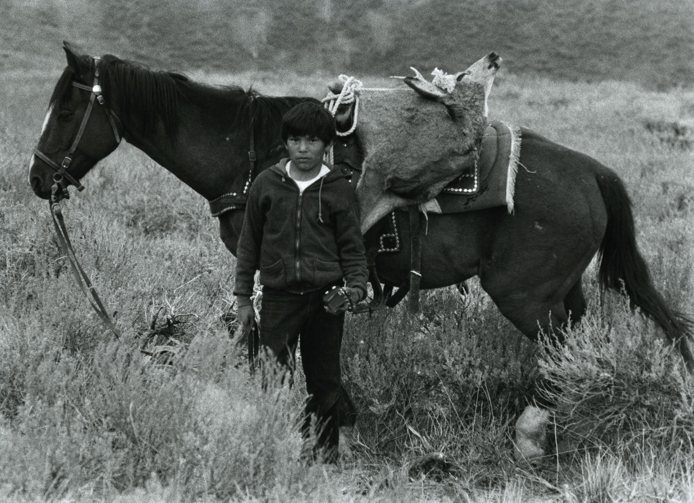 Born of the Bear Dance