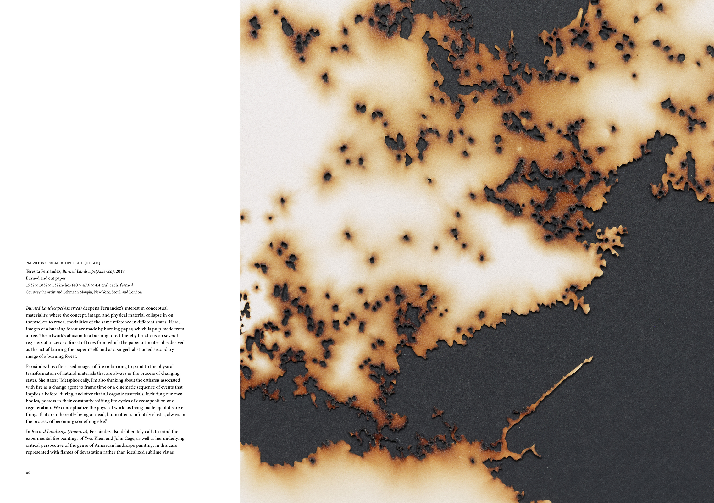 Teresita Fernández / Robert Smithson