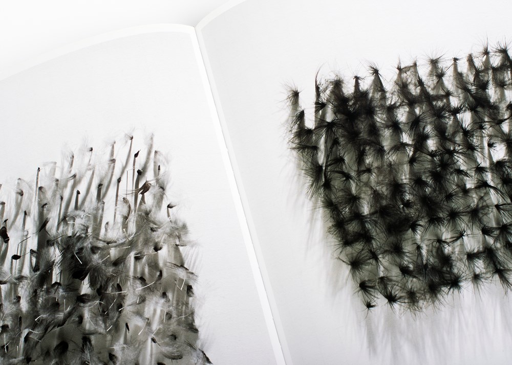 Judy Tuwaletstiwa: Mapping Water (Reprint)