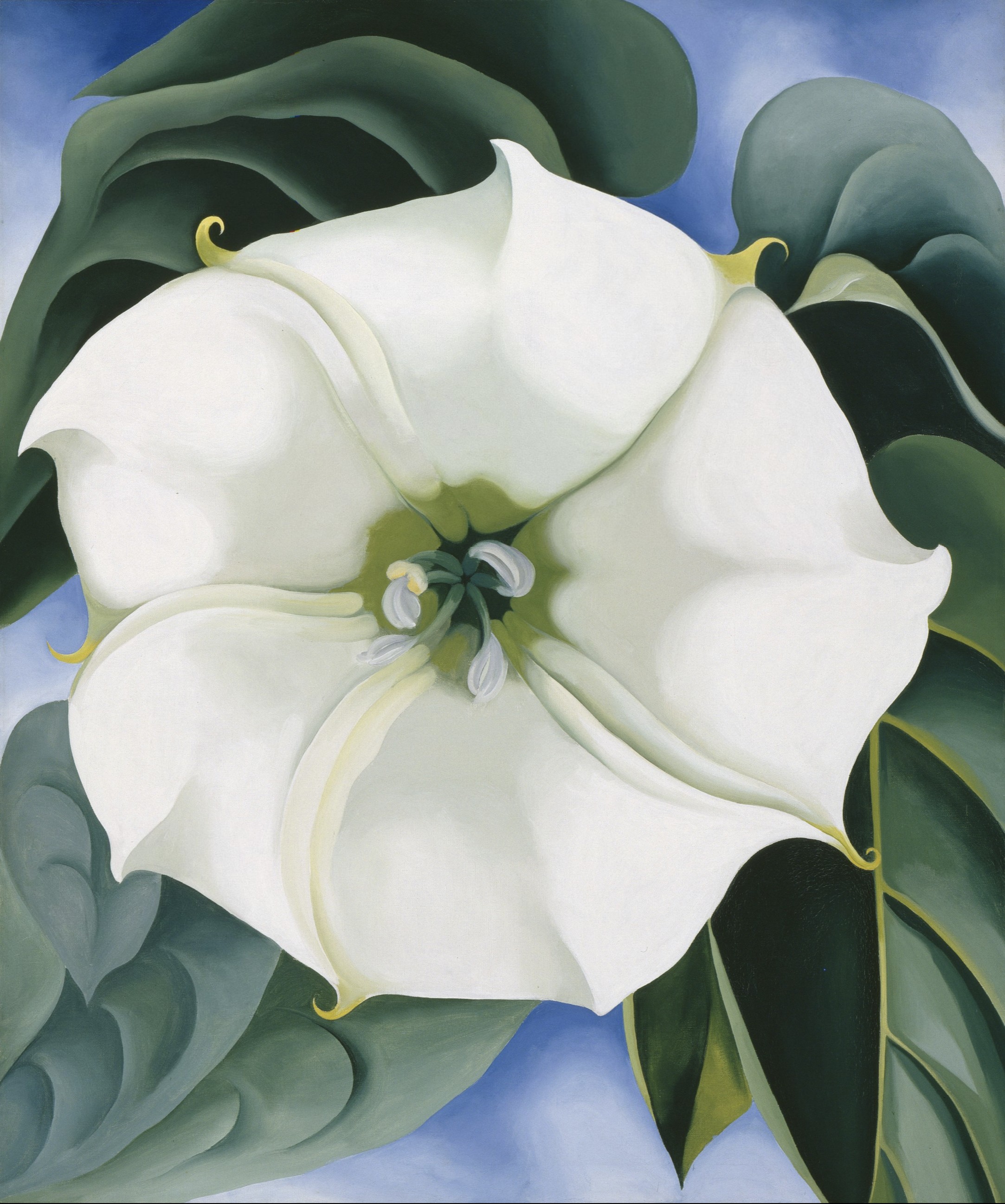 Georgia O'Keeffe: In New Light
