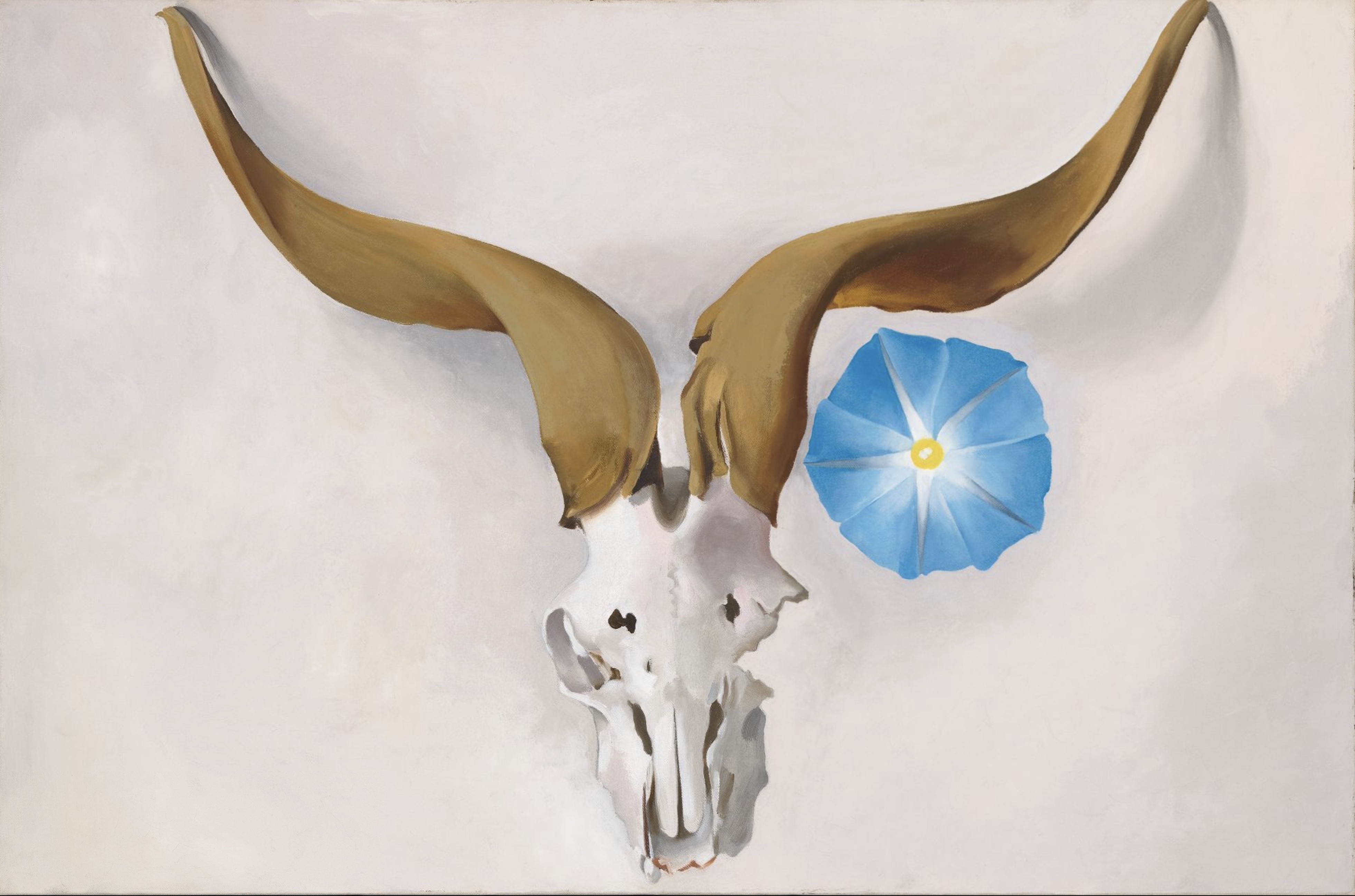 Georgia O'Keeffe: In New Light