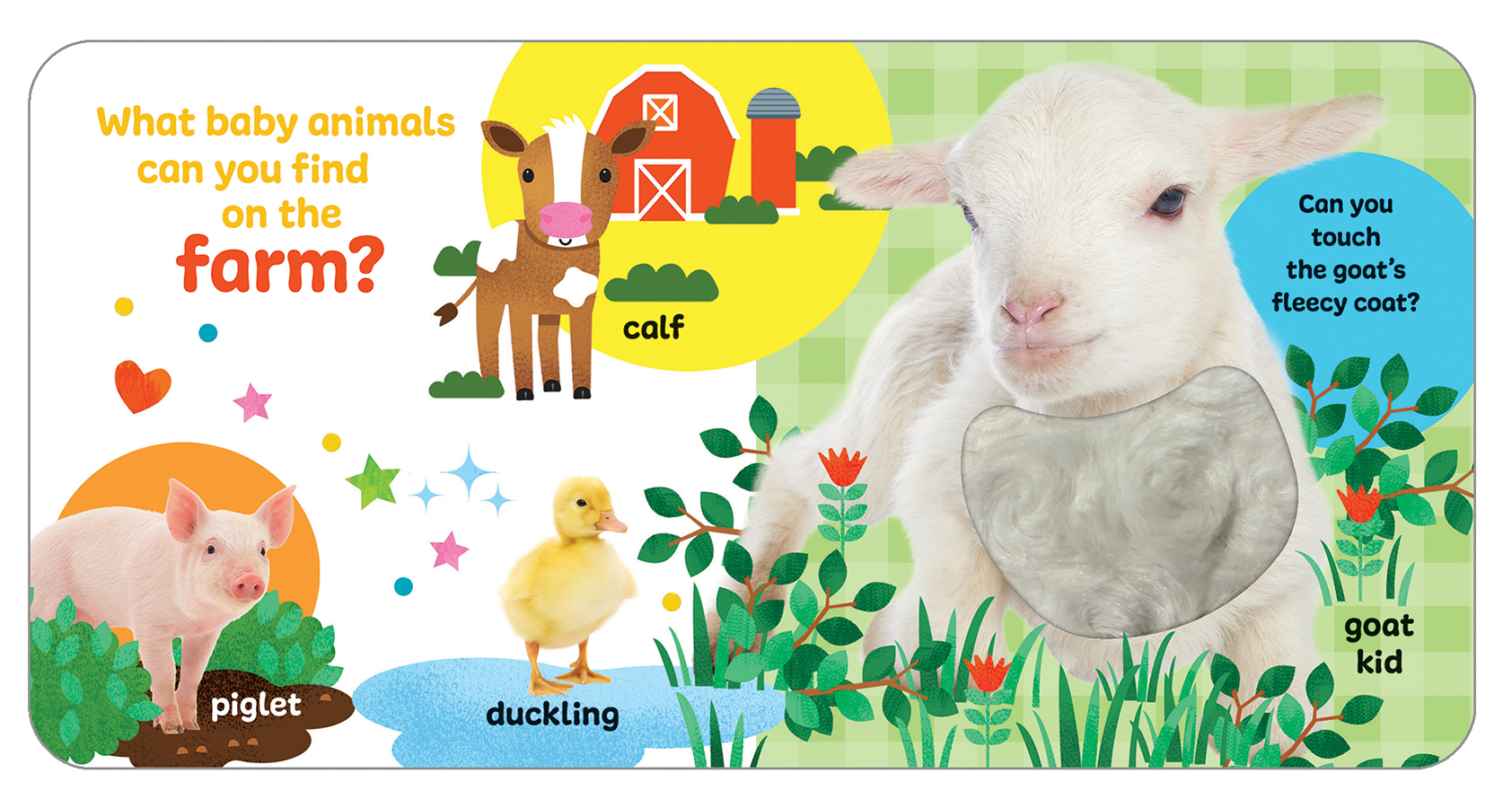 Touch & Feel Baby Animals
