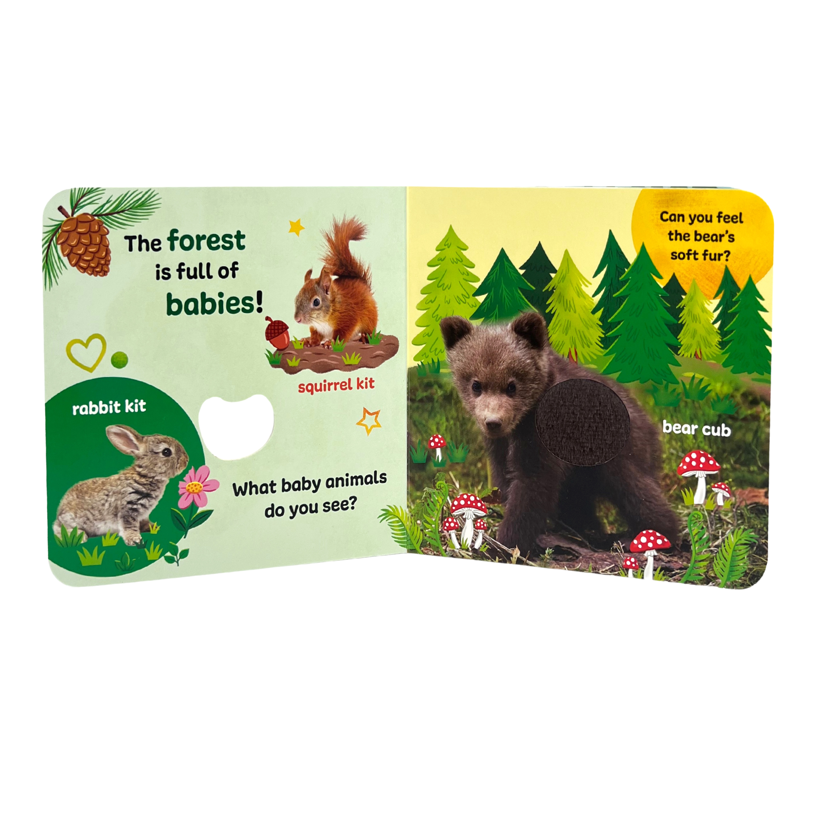 Touch & Feel Forest Babies