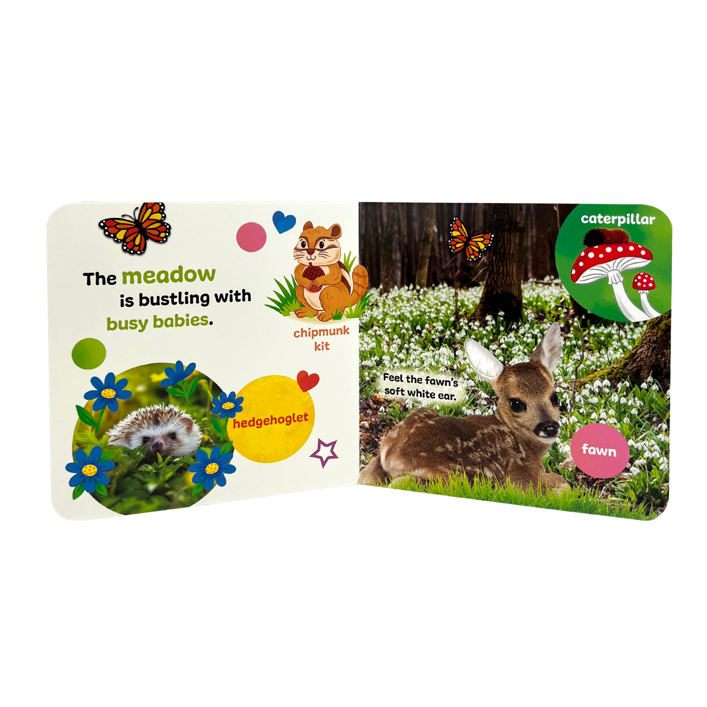 Touch & Feel Forest Babies