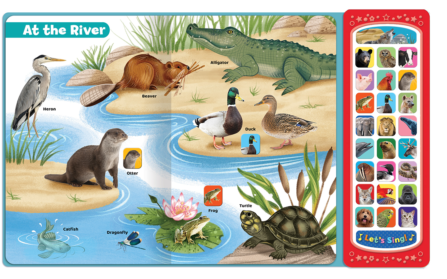 Animals (See Hear Learn)