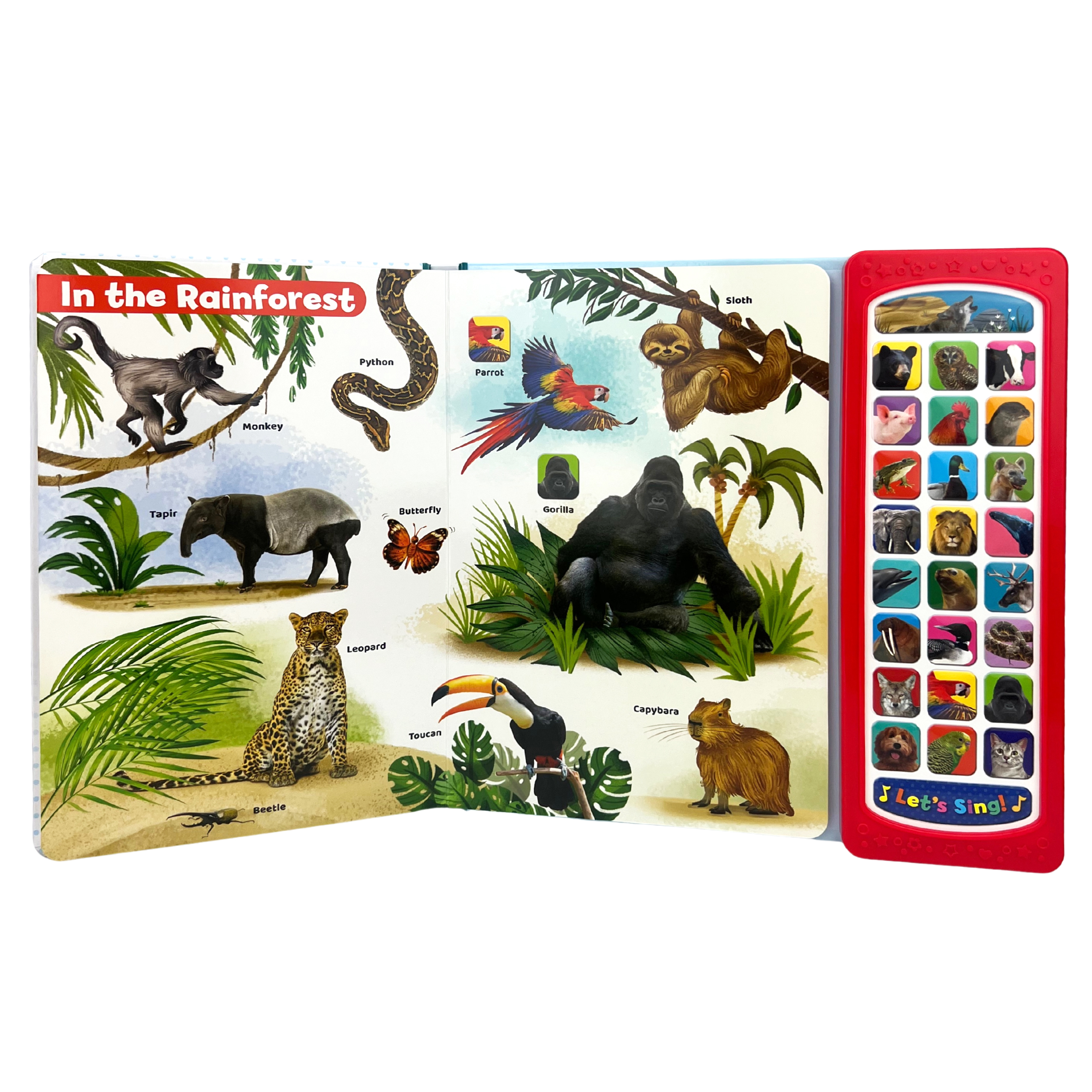 Animals (See Hear Learn)