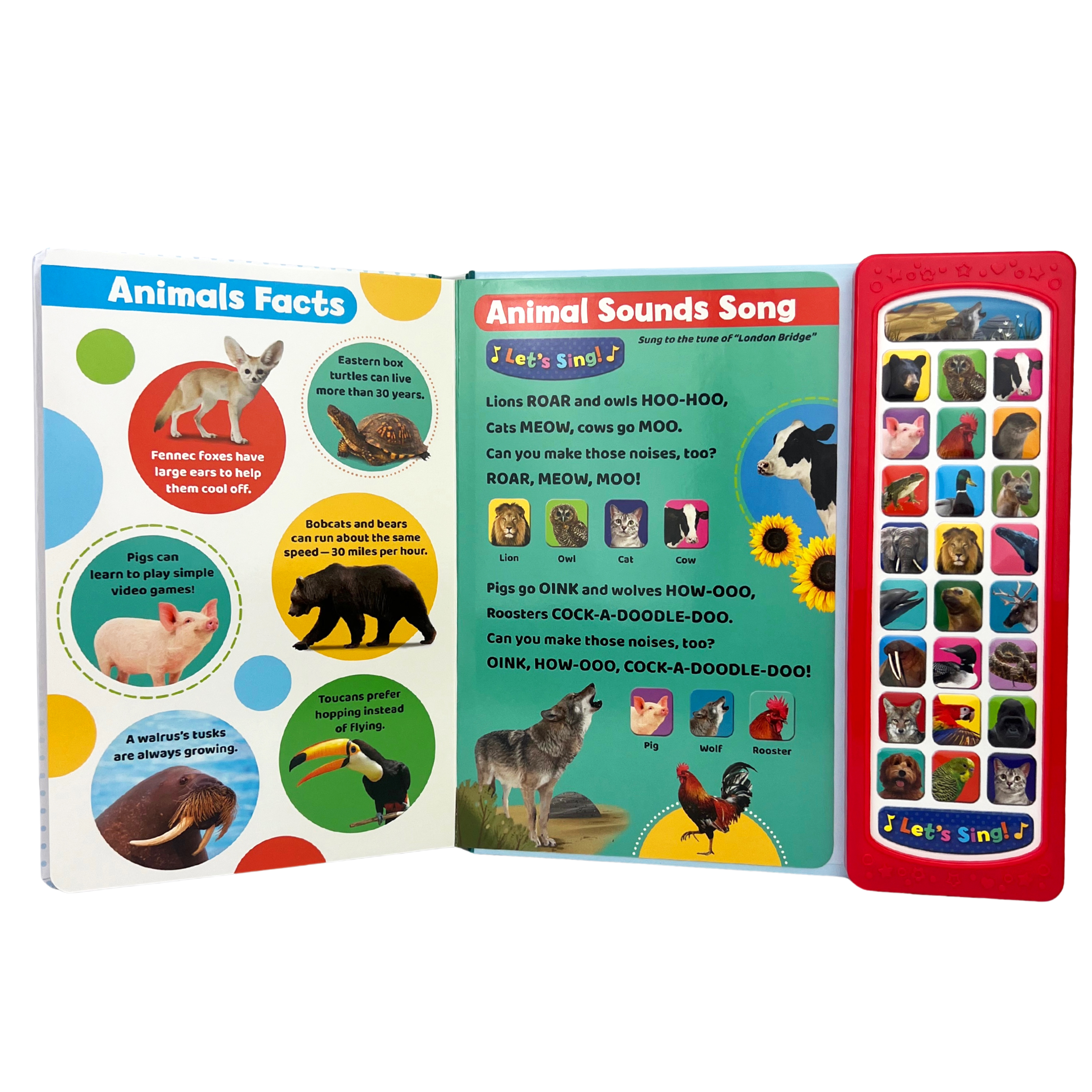 Animals (See Hear Learn)