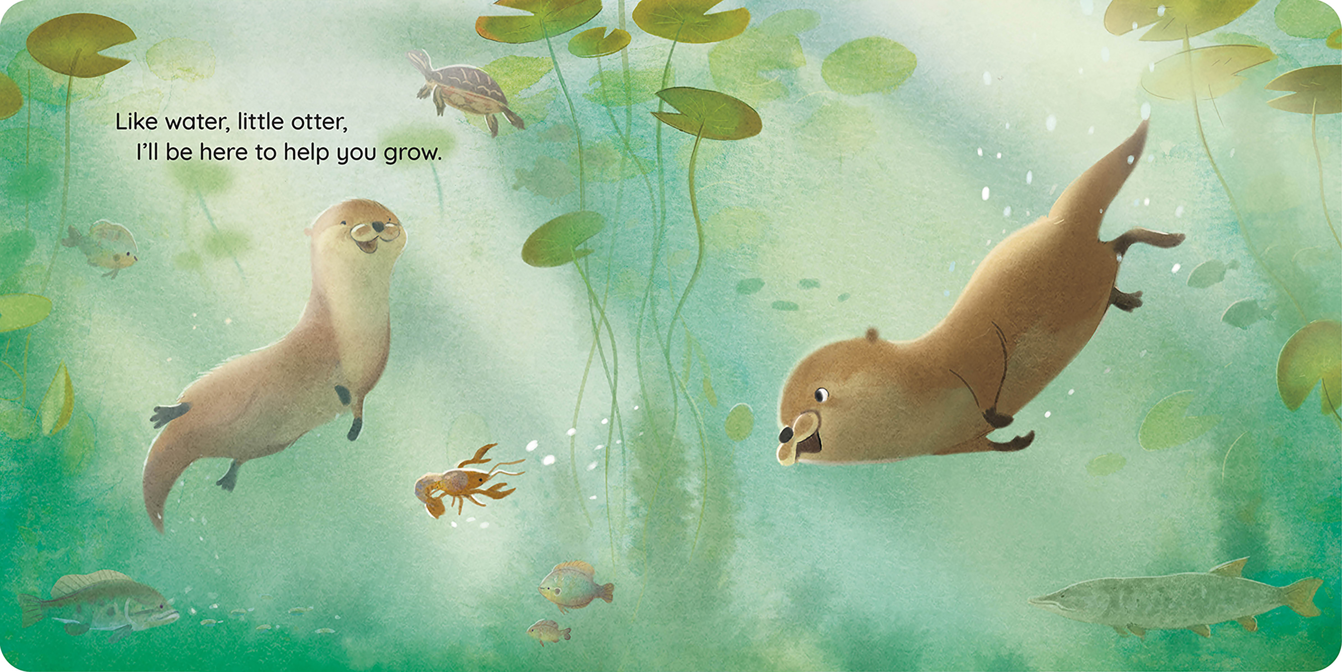 Like Water, Little Otter