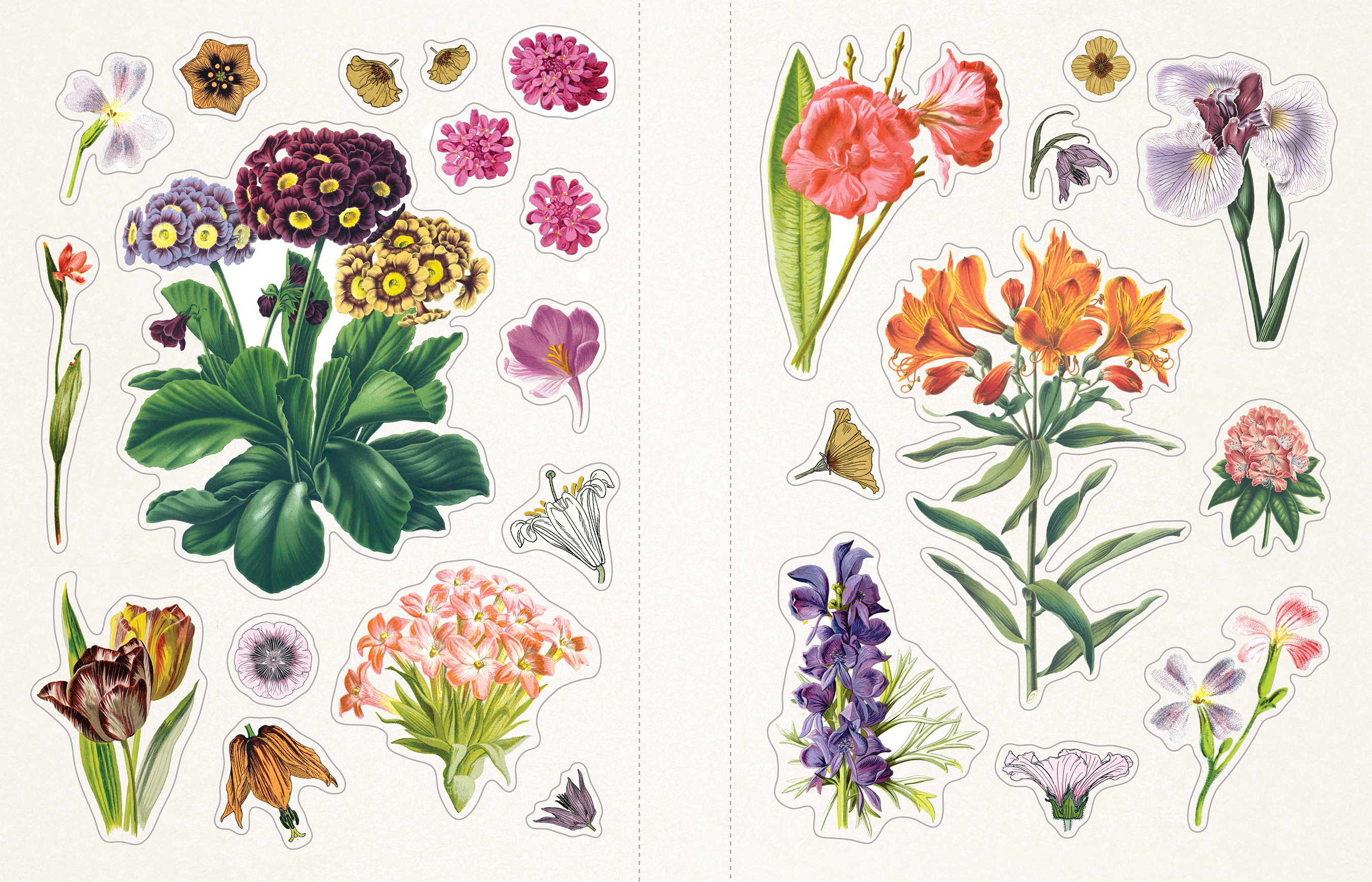 Sticker Emporium Floribunda