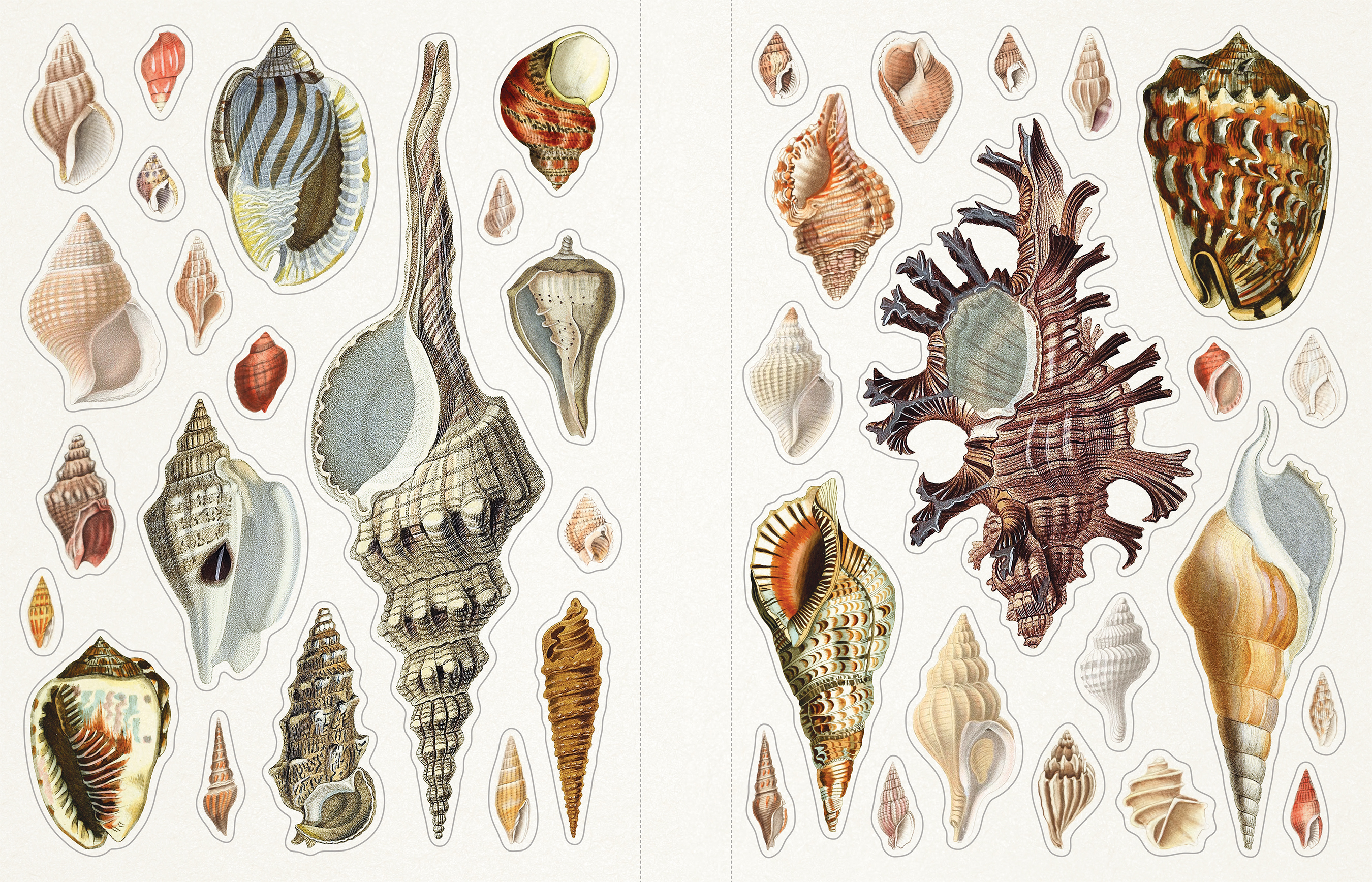 Sticker Emporium Aquatopia