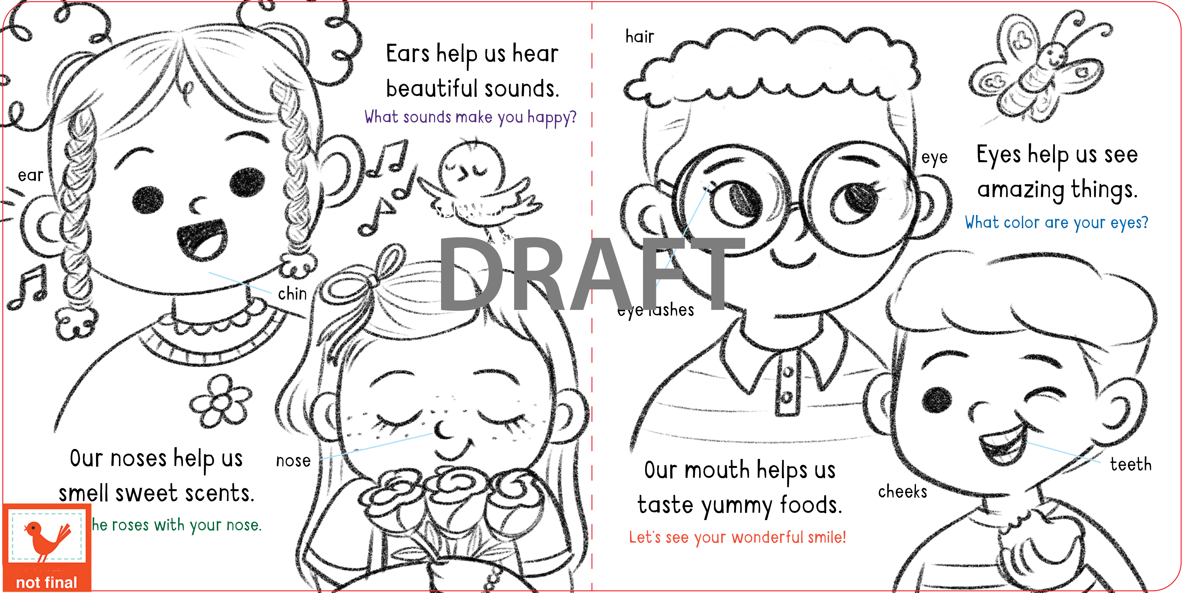 Little Wonders Bodies