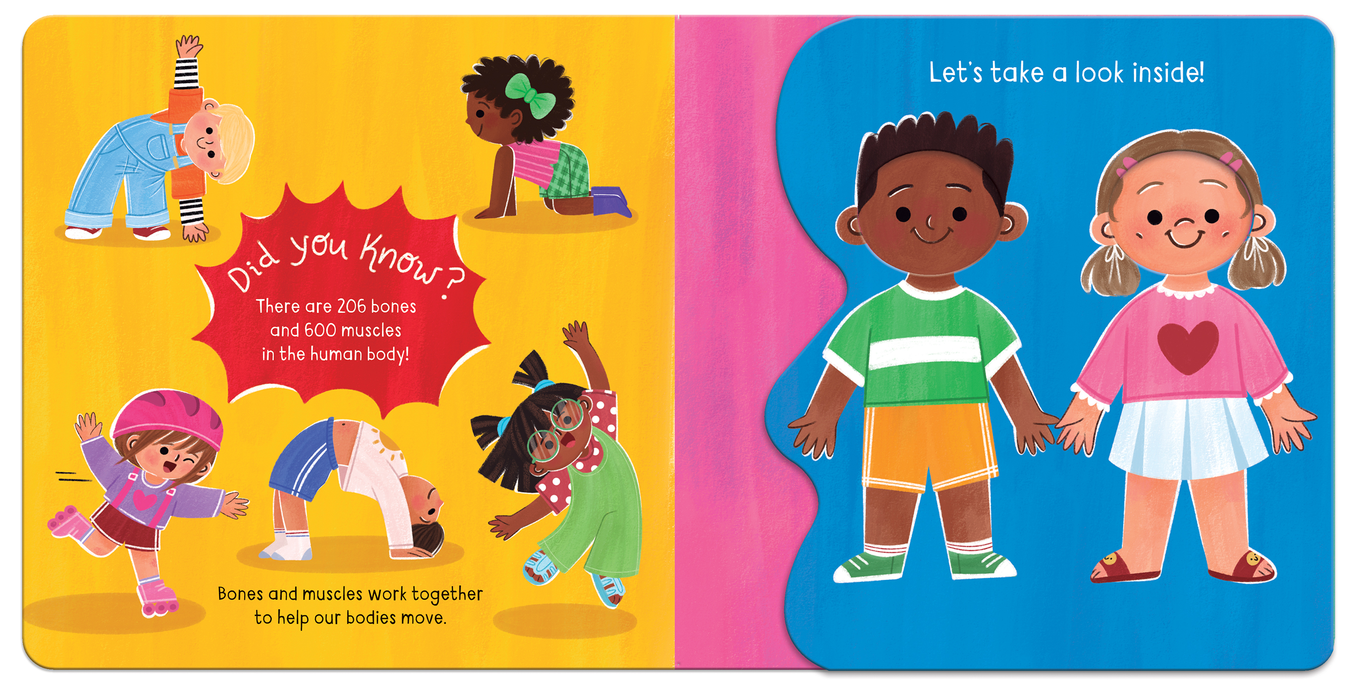 Little Wonders Bodies