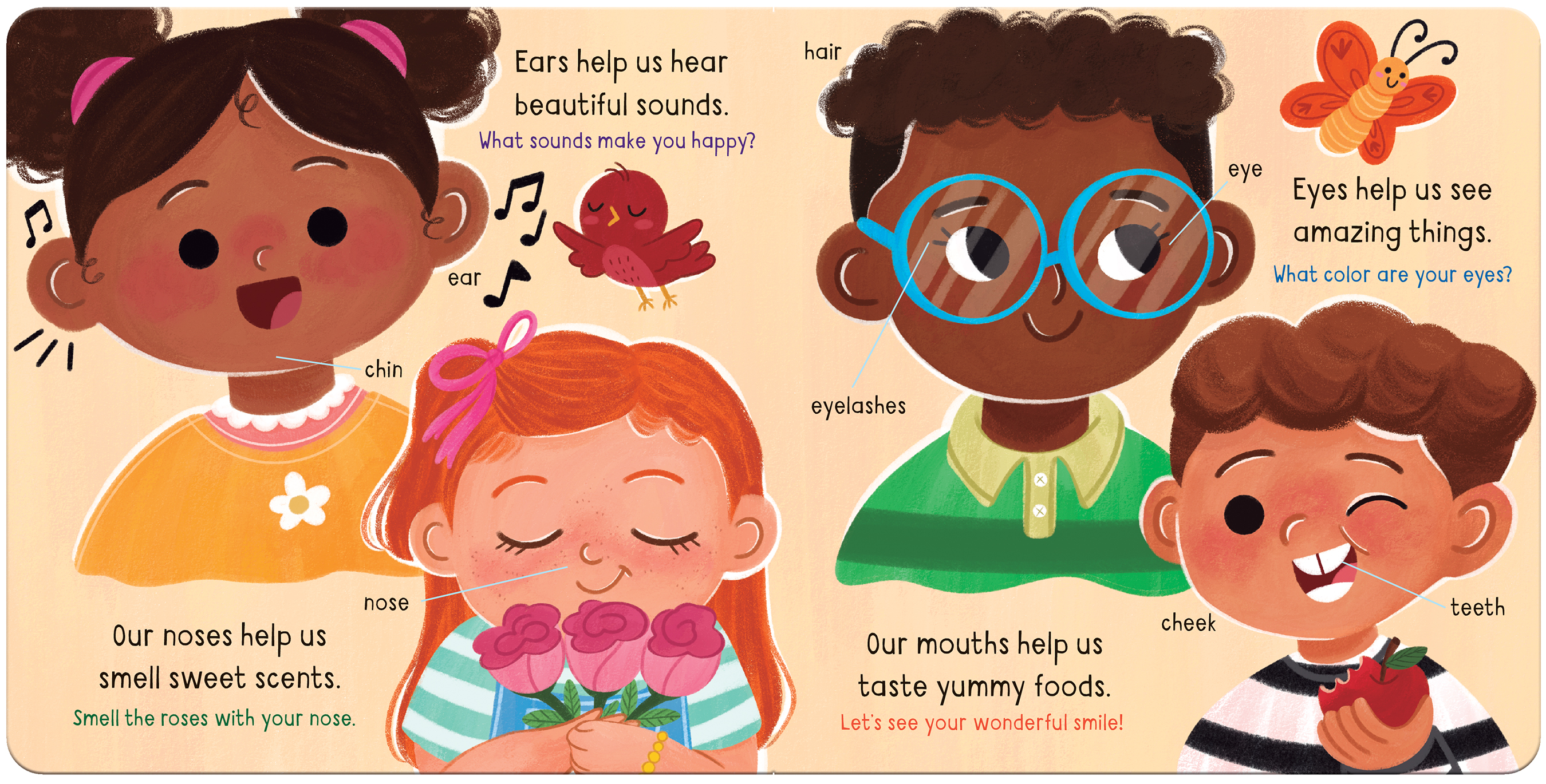 Little Wonders Bodies