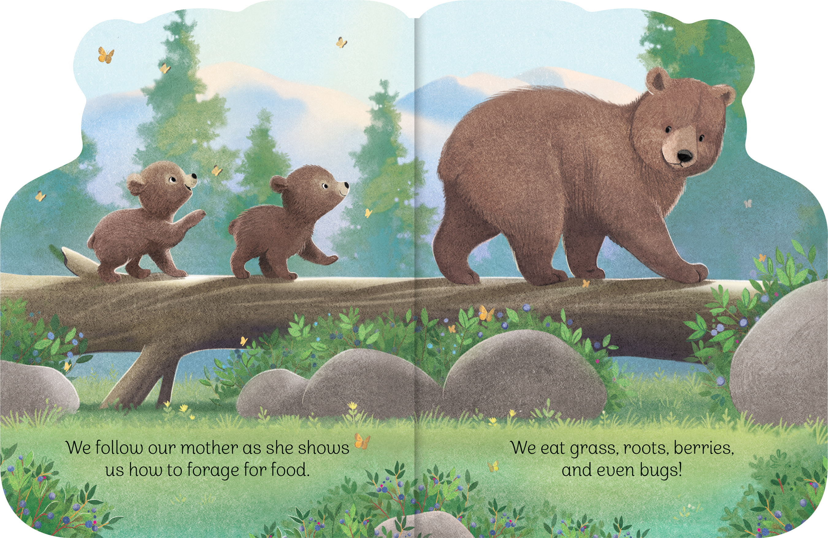 A Little Bear
