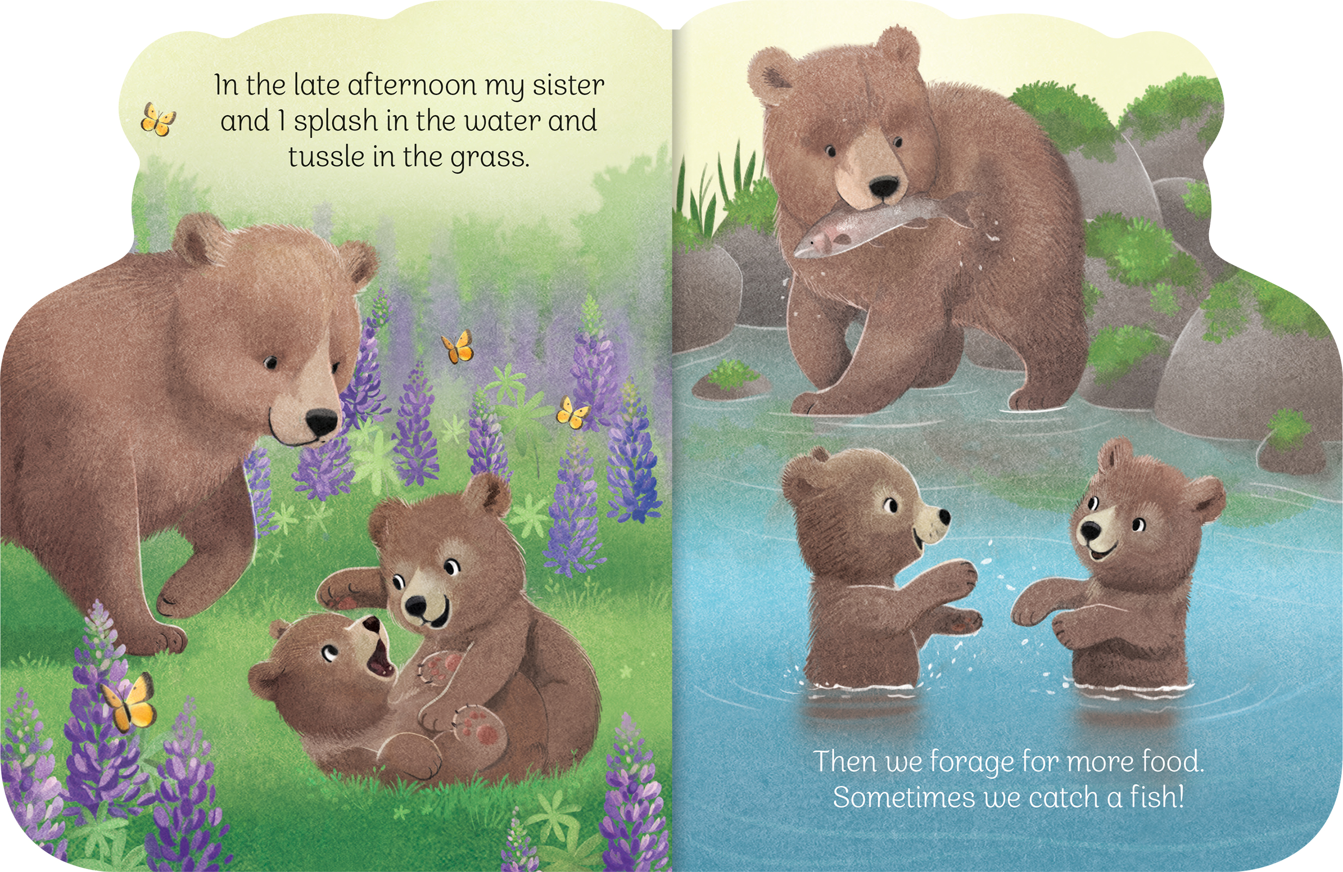 A Little Bear