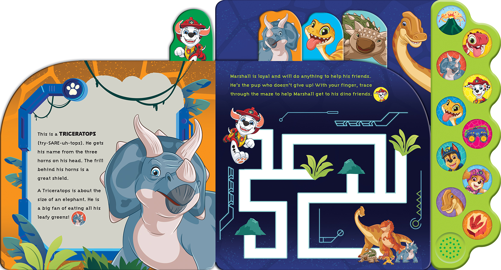 PAW Patrol Dino Island