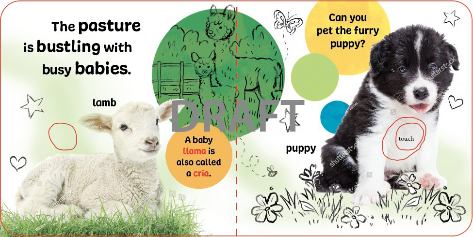 Touch & Feel Farm Babies