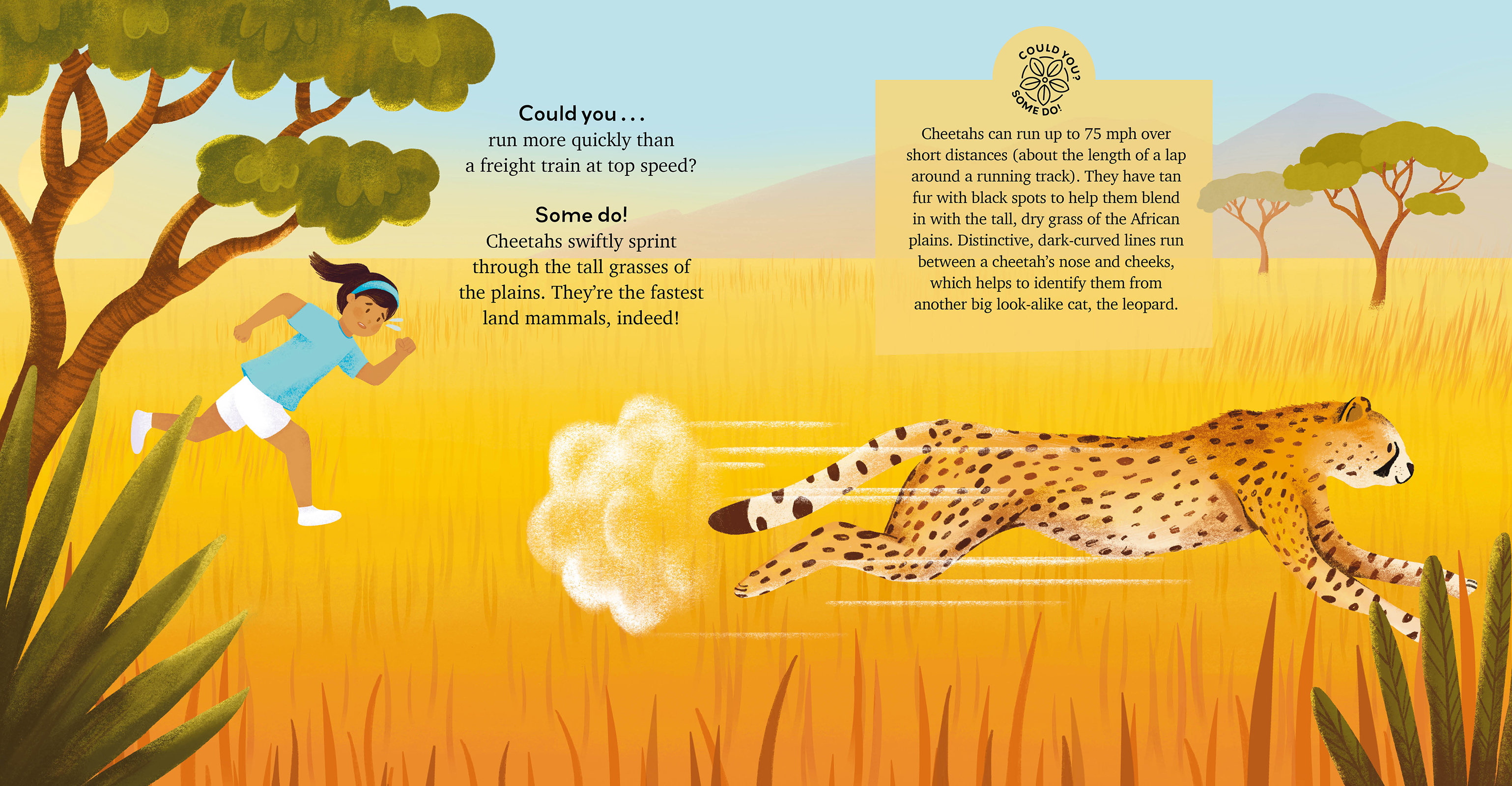 Can You Hide Like a Chameleon? Fun Facts about Extraordinary Animals and Plants