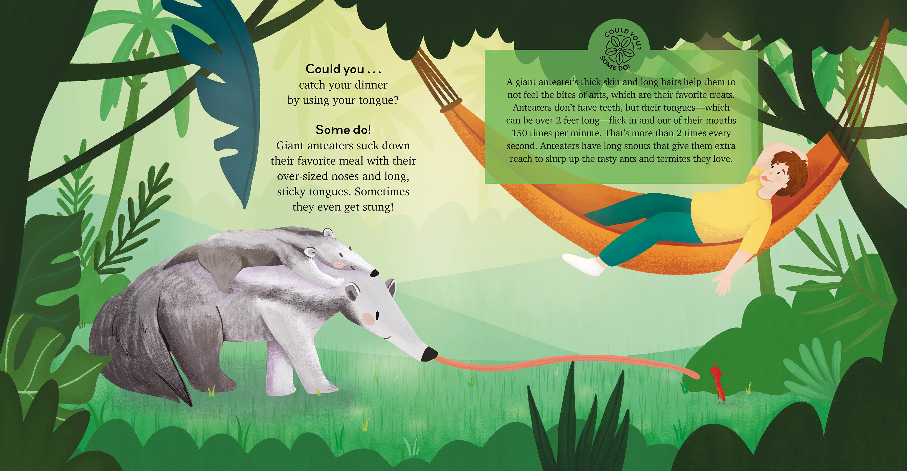 Can You Hide Like a Chameleon? Fun Facts about Extraordinary Animals and Plants
