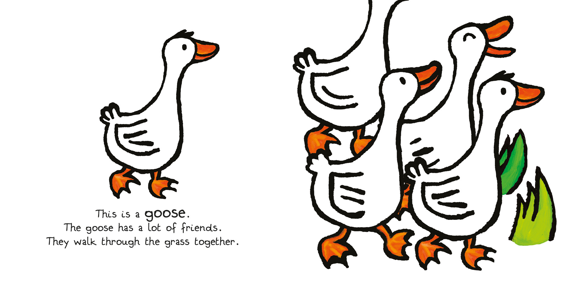 Farm Animals