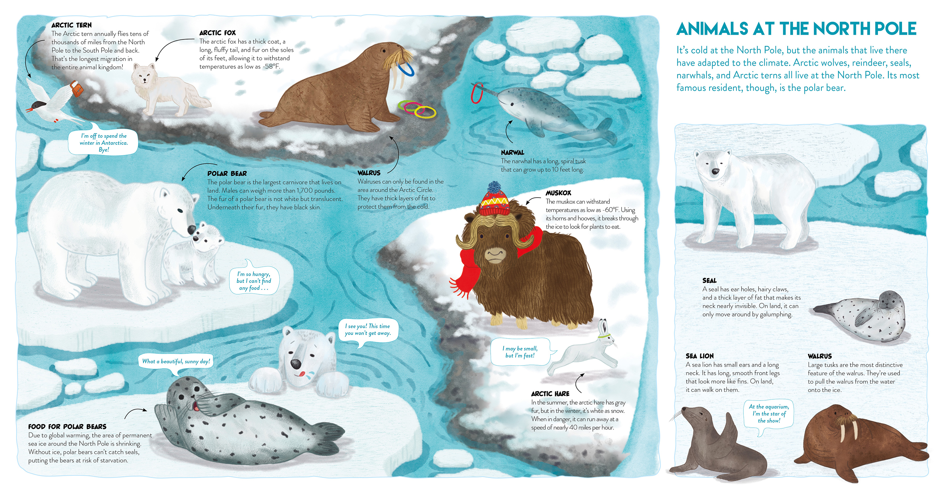 The South Pole and the North Pole. Two Books into One