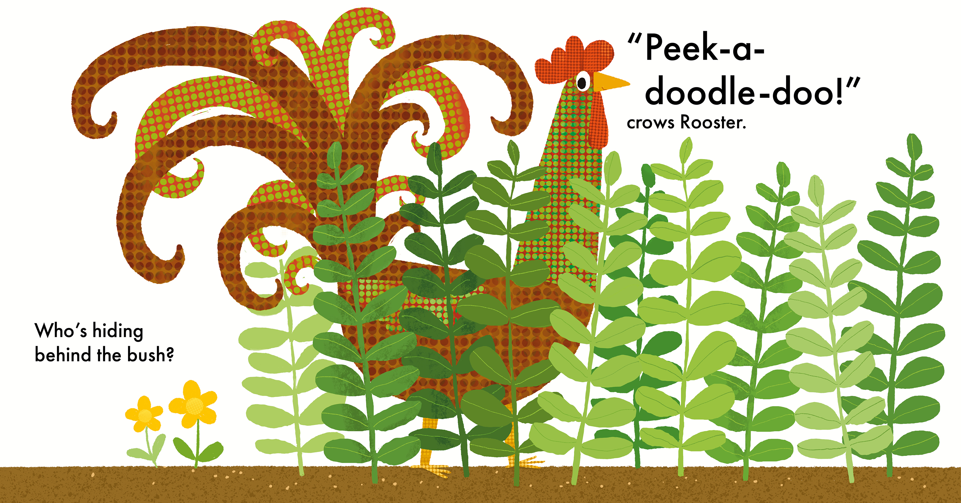 Peek-a-Boo!