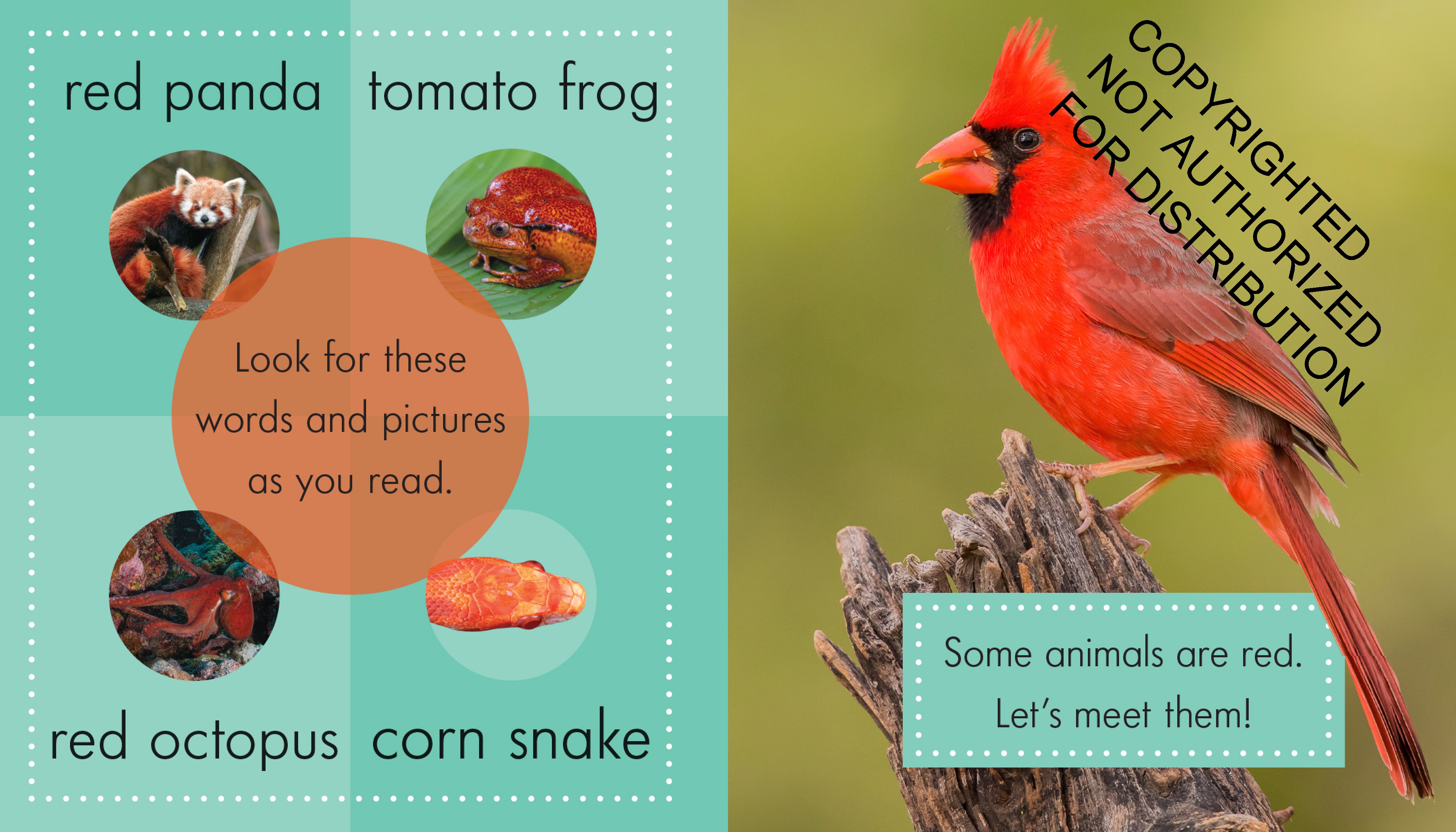 Red Animals