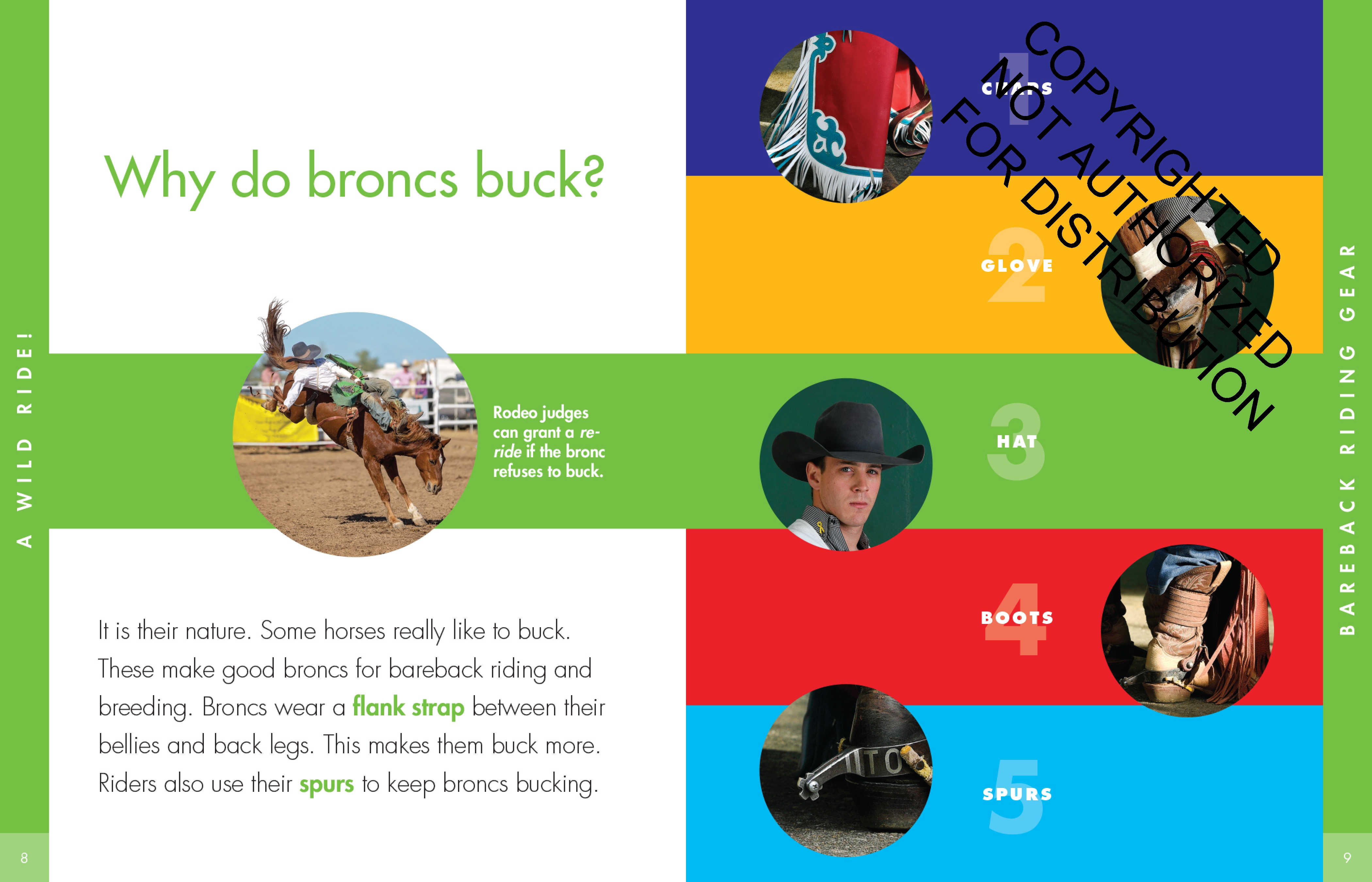 Curious about Bareback Riding