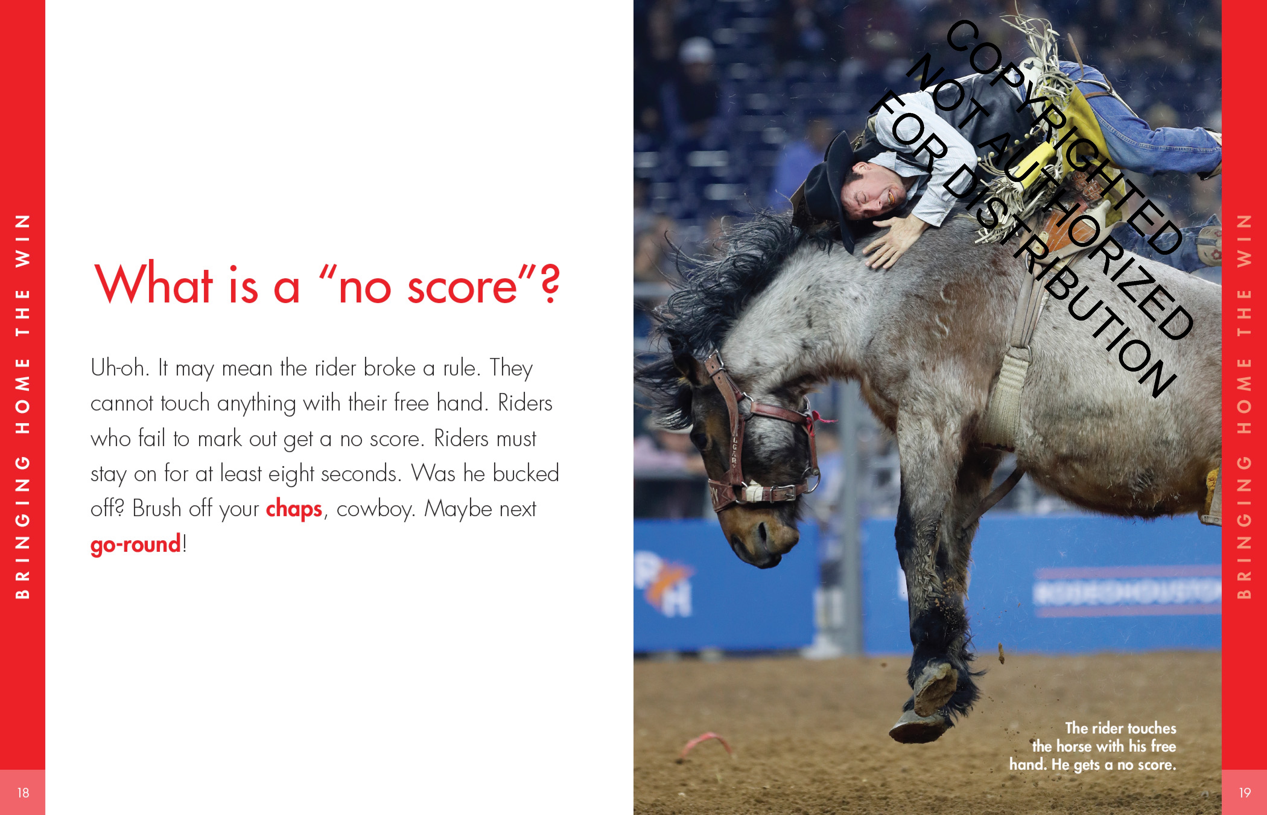 Curious about Bareback Riding