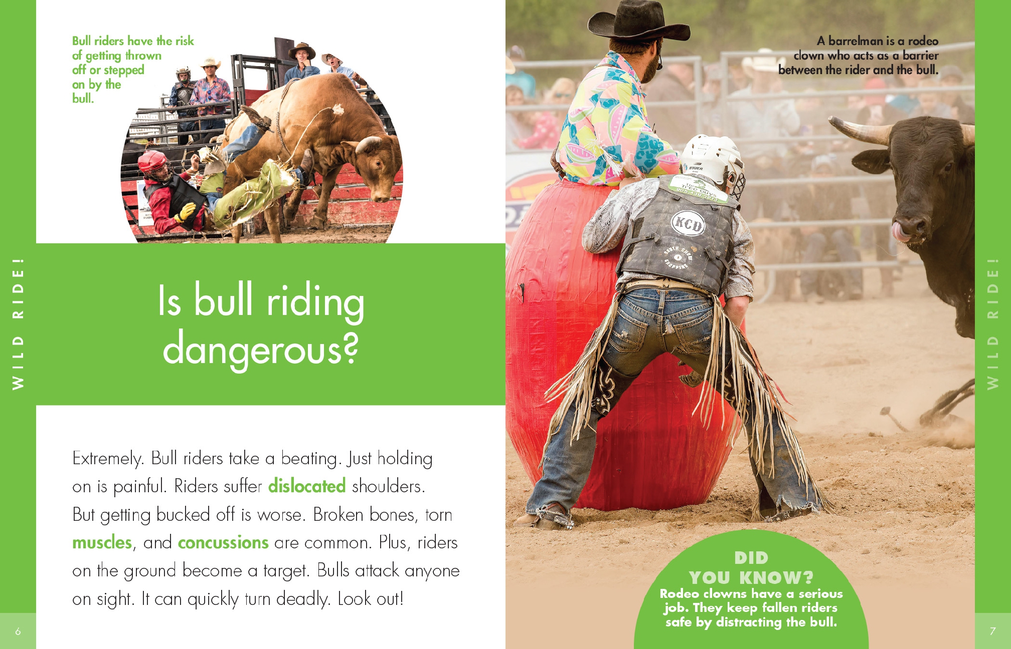 Curious about Bull Riding