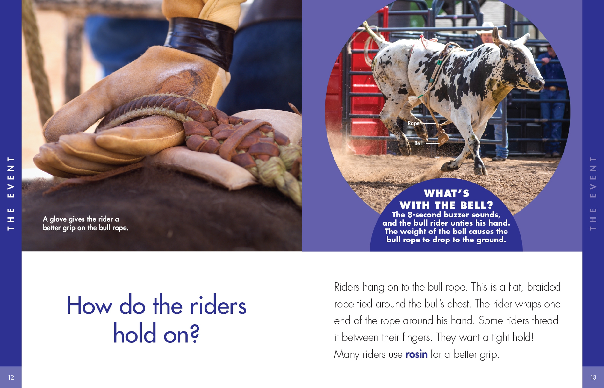 Curious about Bull Riding