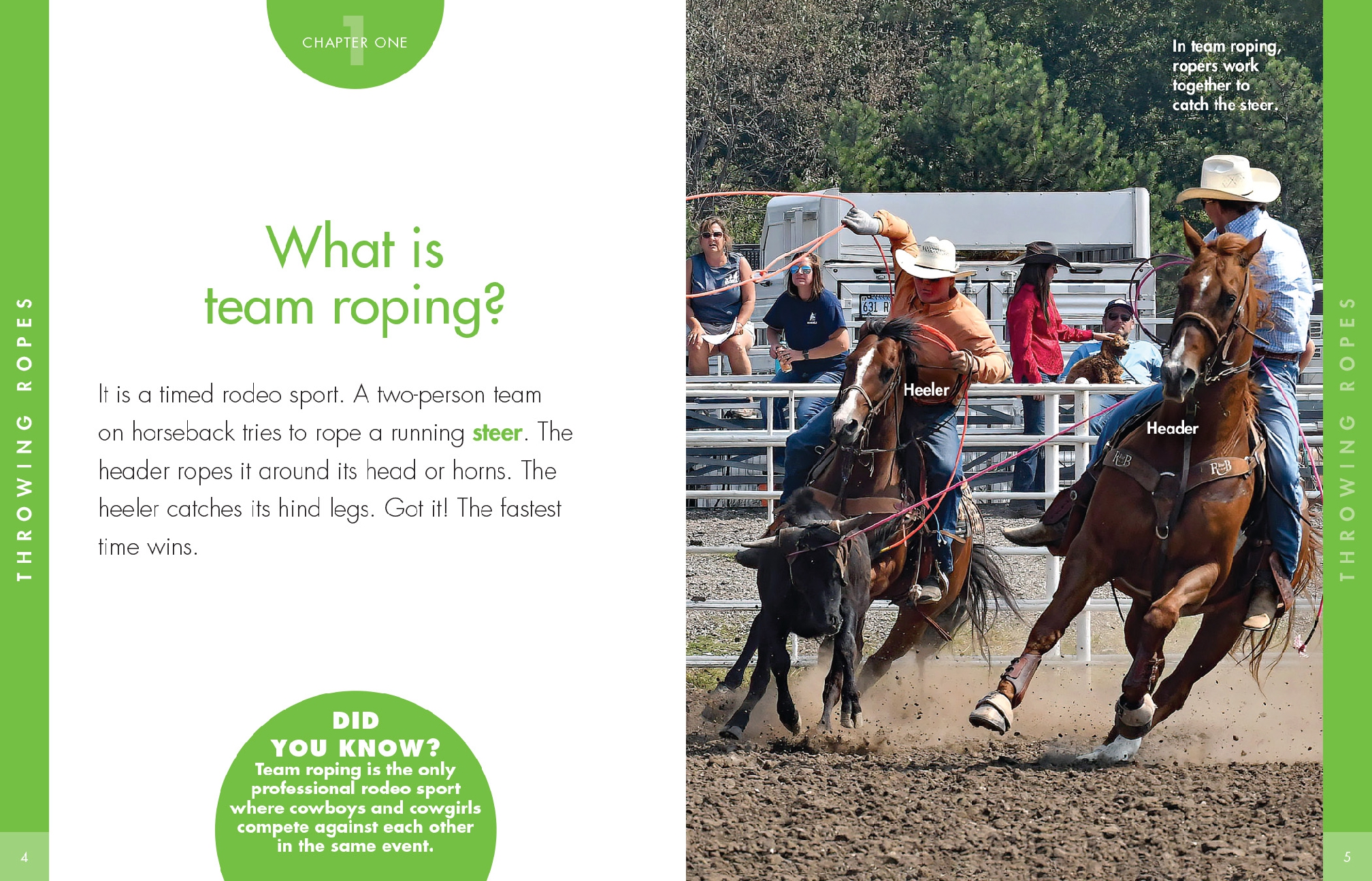 Curious about Team Roping