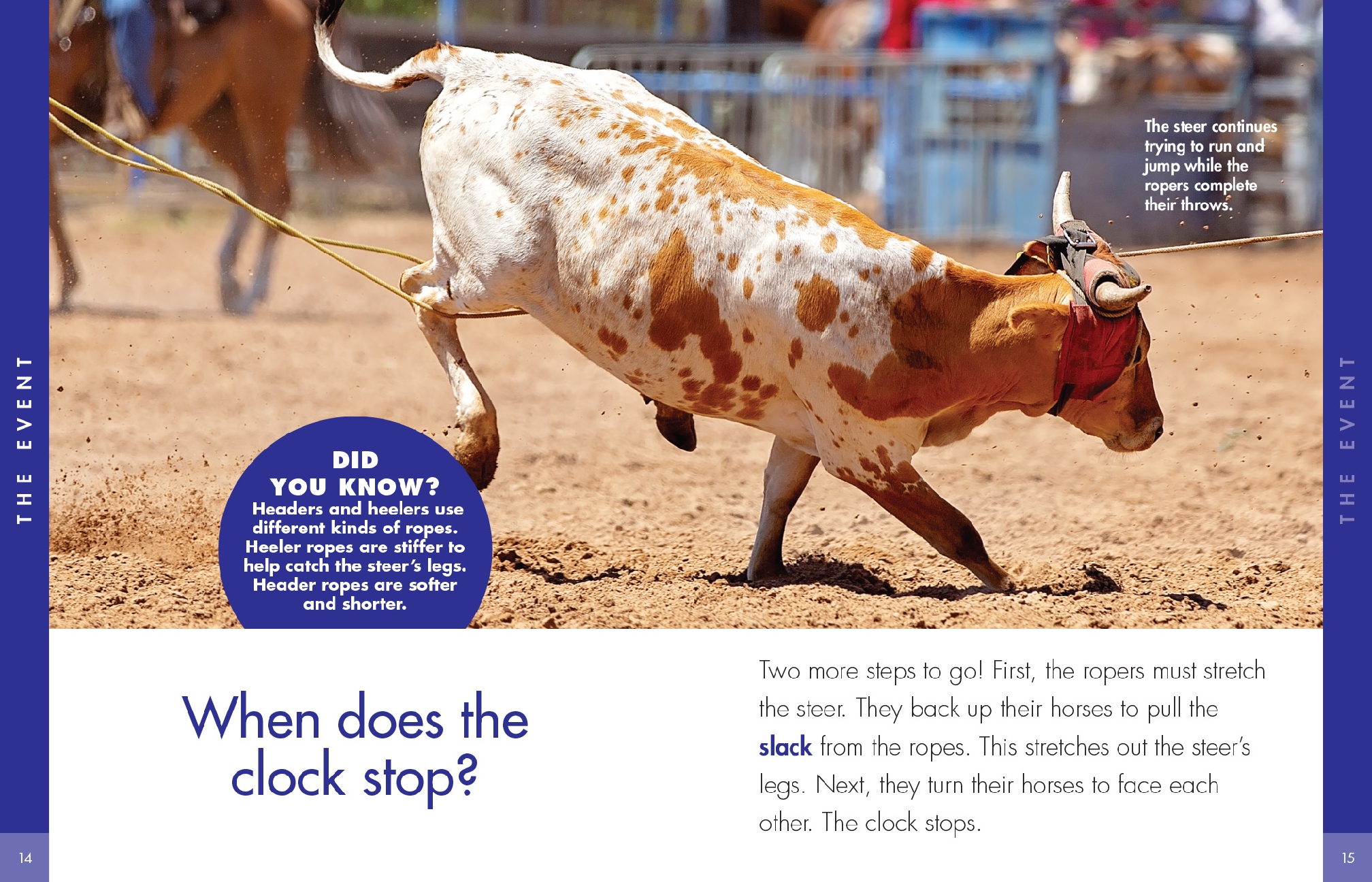 Curious about Team Roping