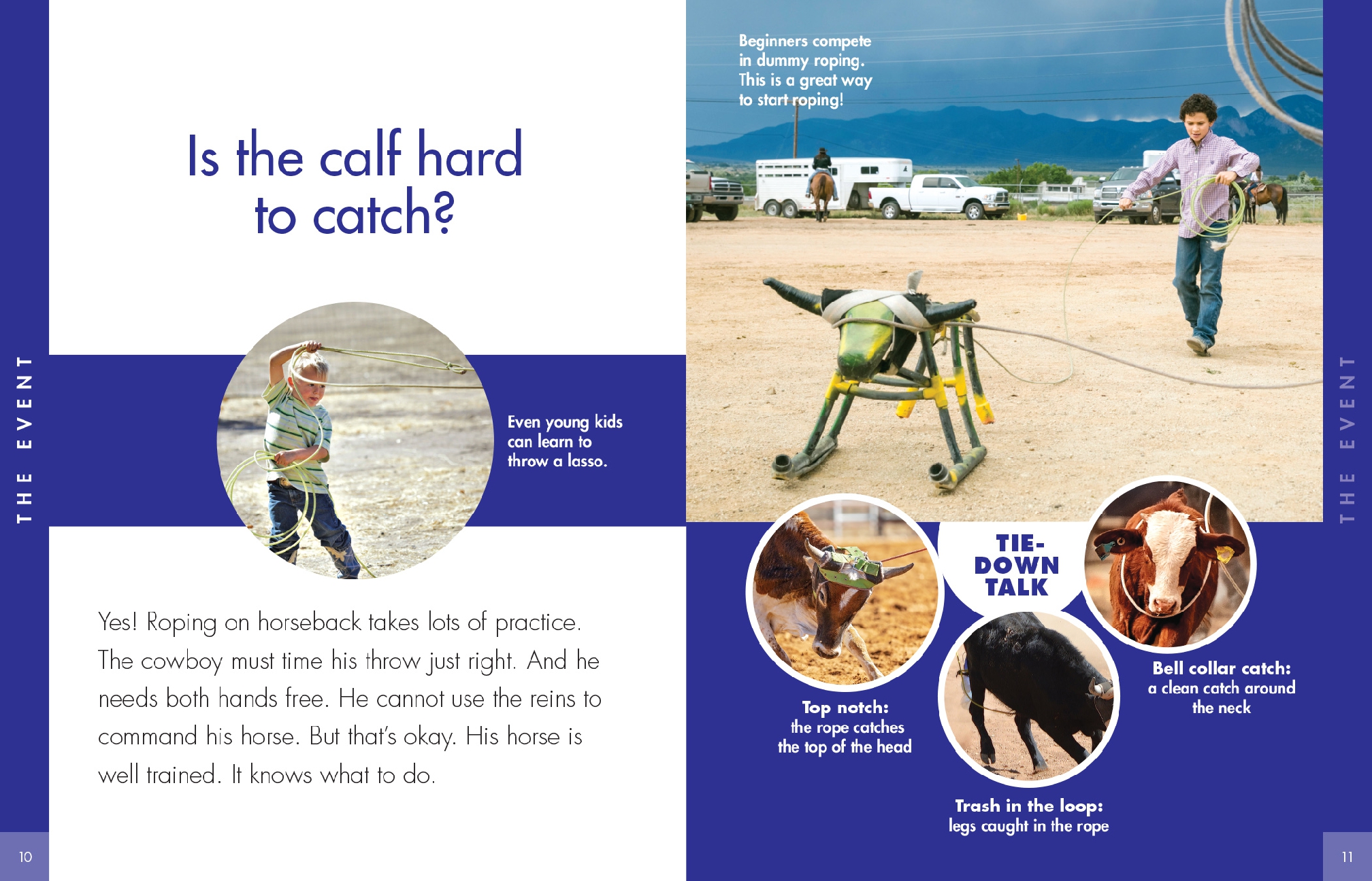Curious about Tie-Down Roping