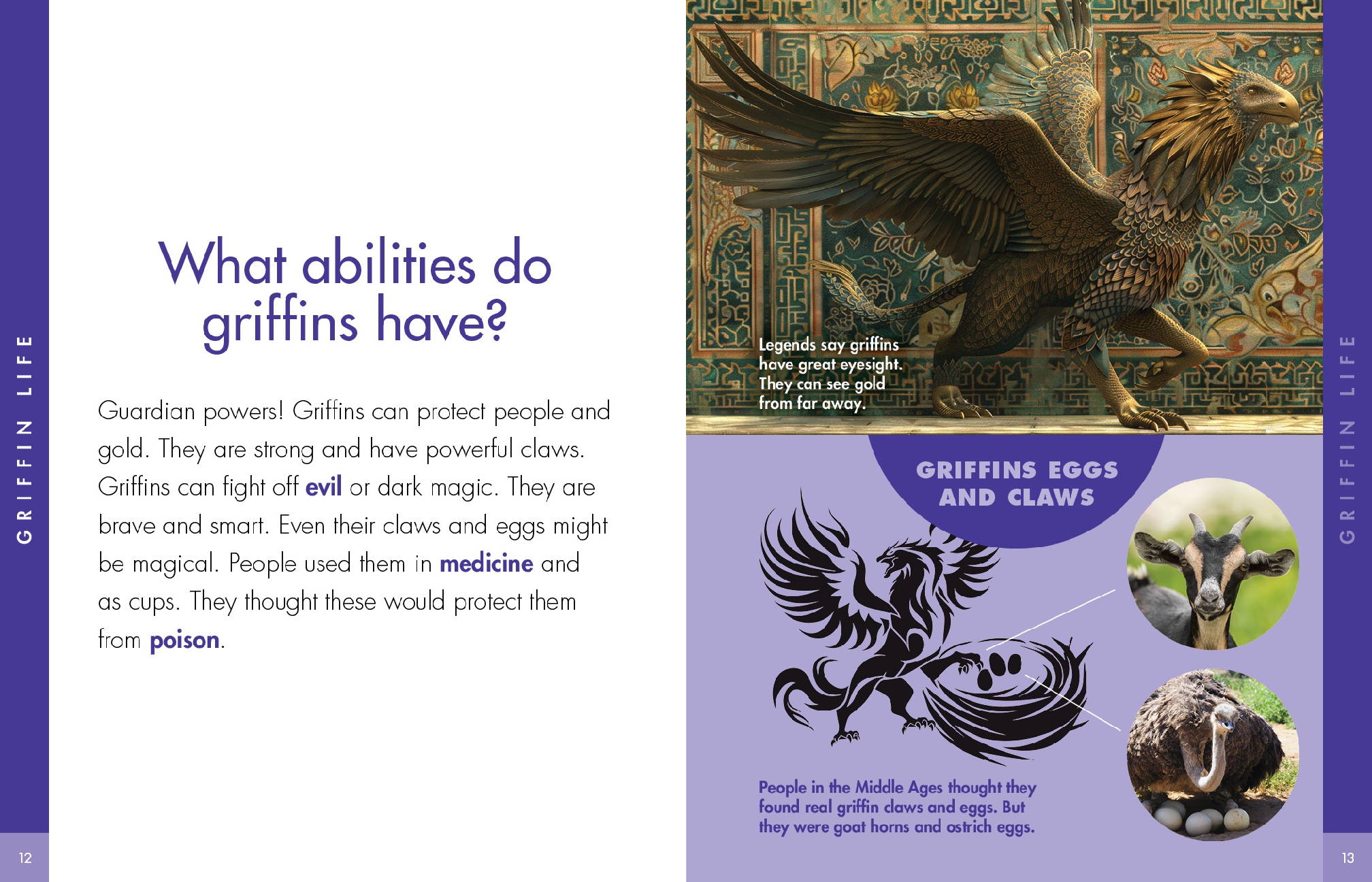 Curious about Griffins